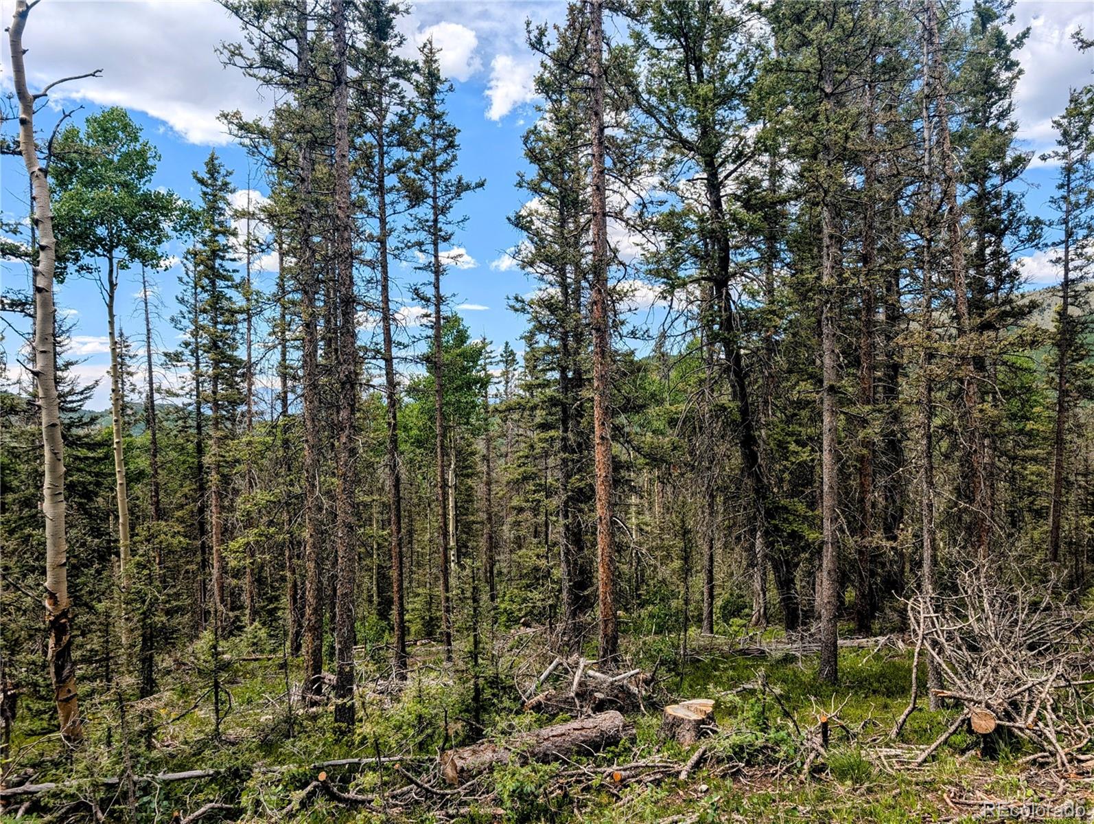 8.5 Acres Phillips Road Fort Garland CO 81133
