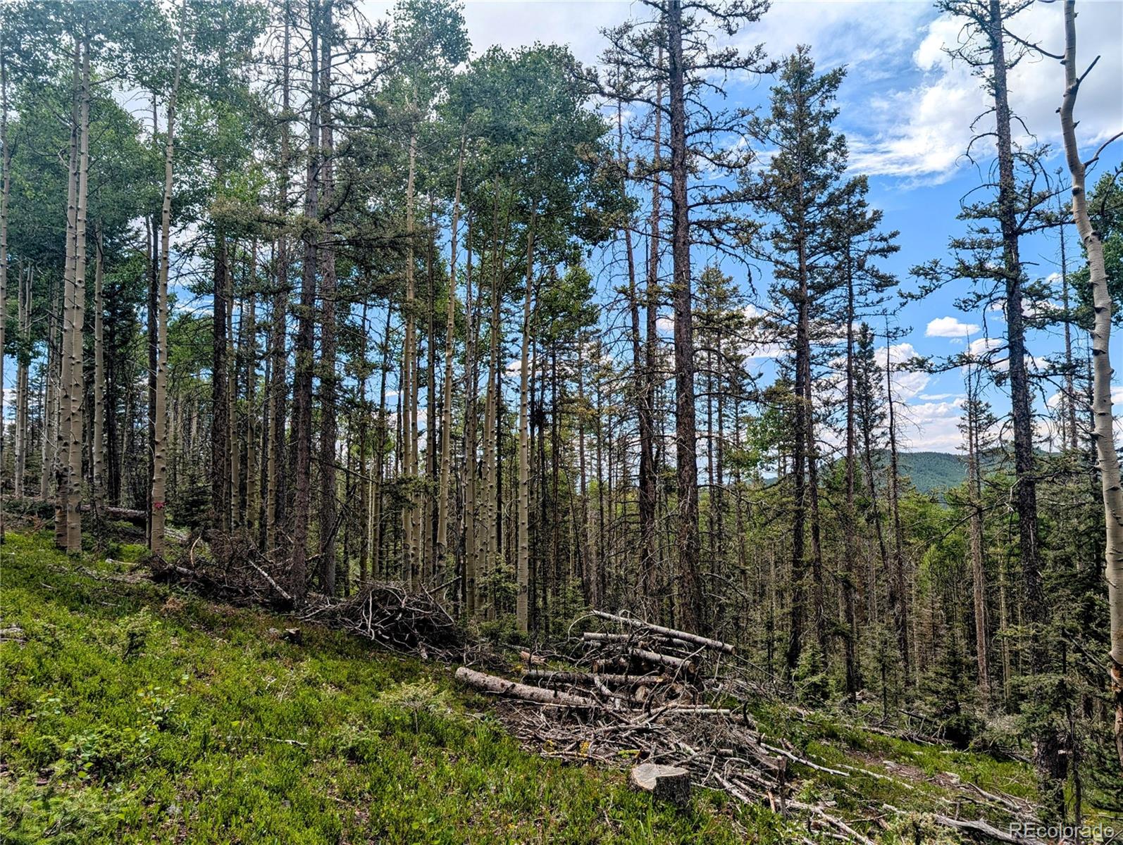 8.5 Acres Phillips Road Fort Garland CO 81133