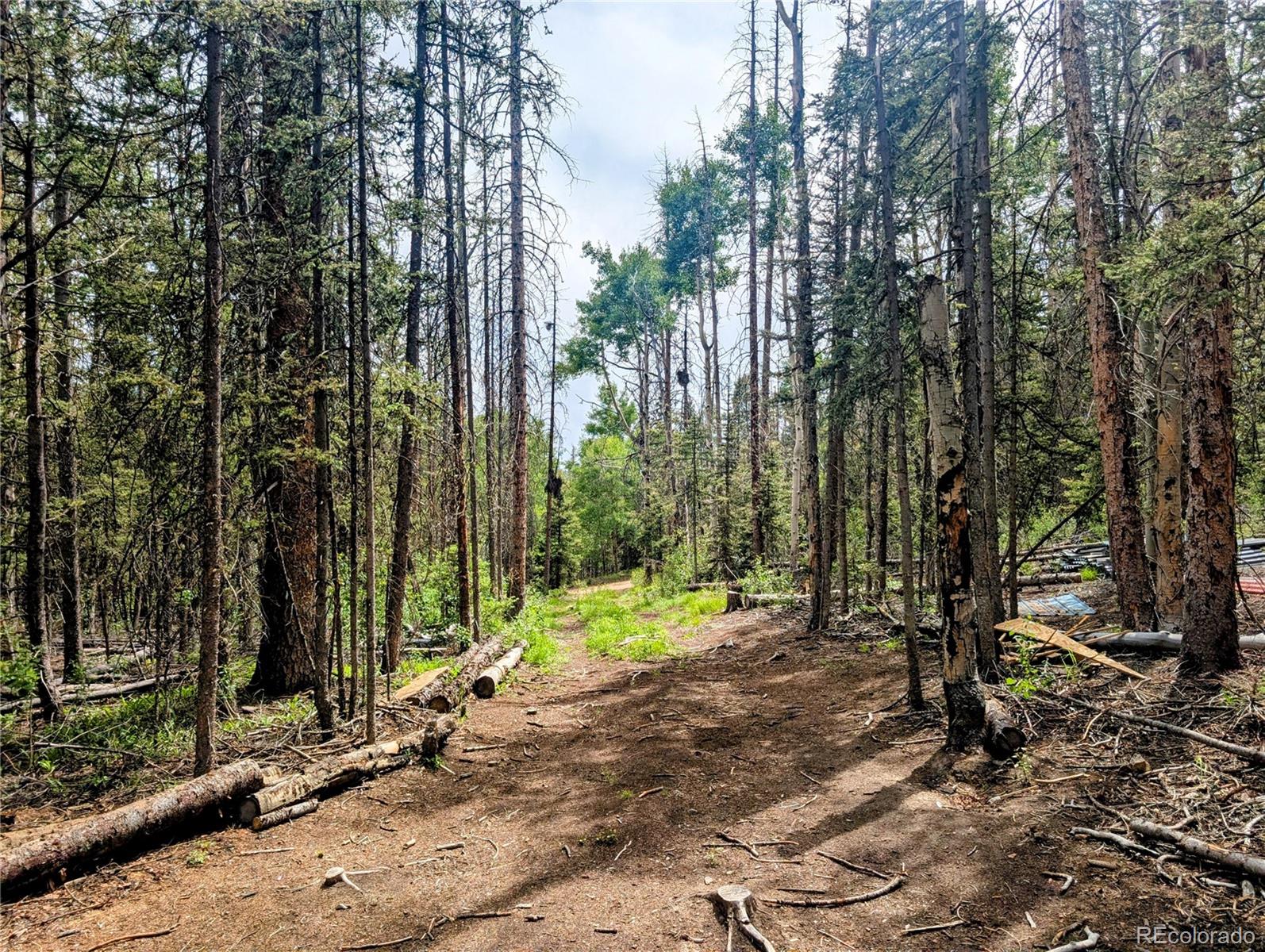 8.5 Acres Phillips Road Fort Garland CO 81133