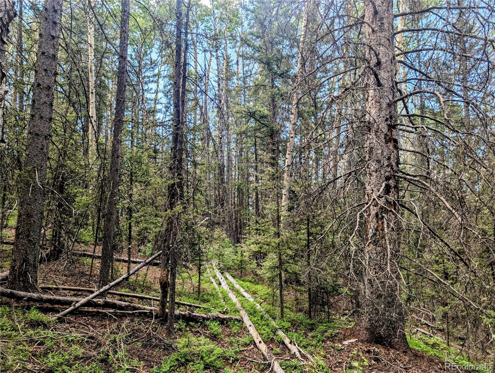 8.5 Acres Phillips Road Fort Garland CO 81133