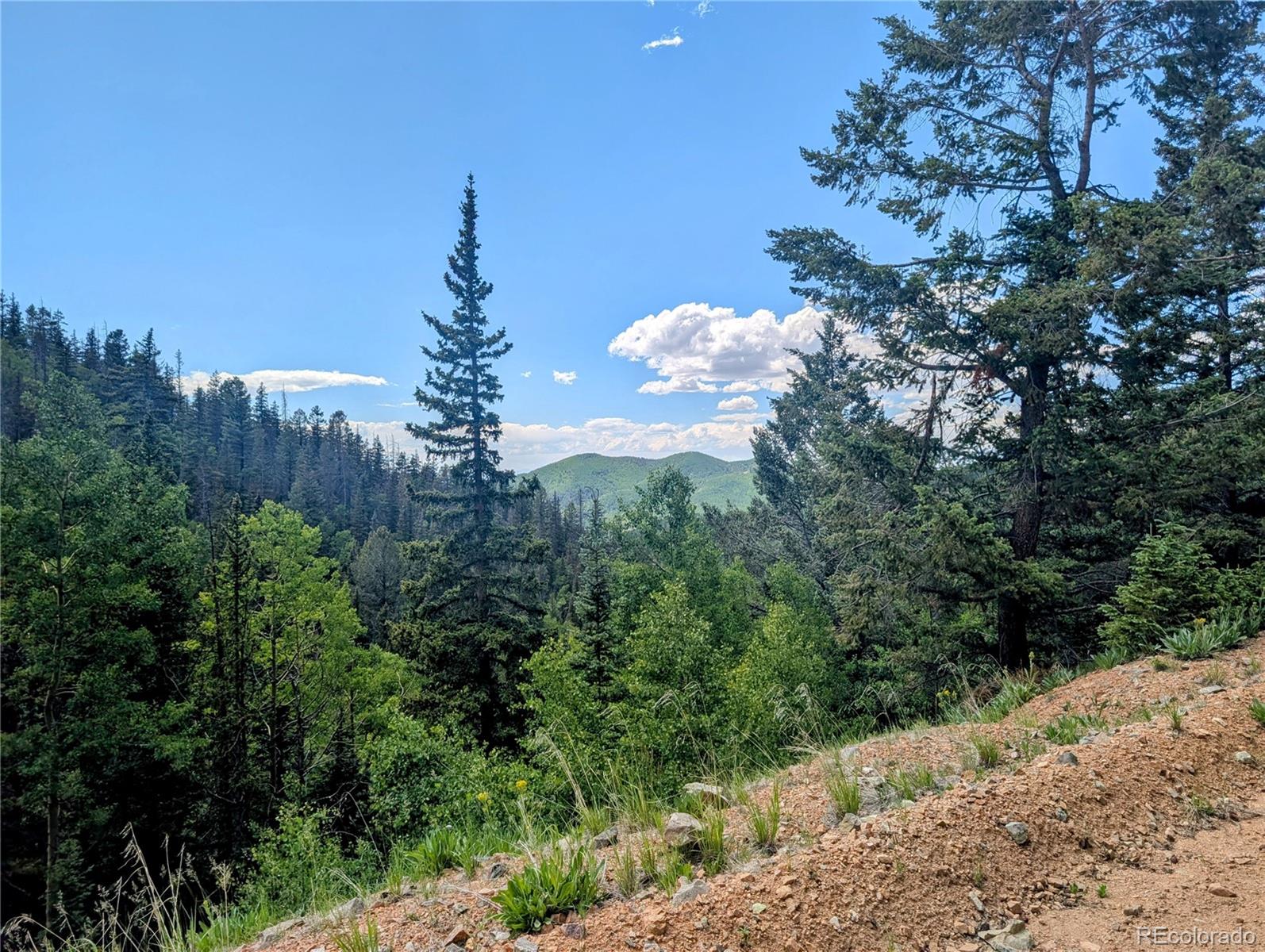 8.5 Acres Phillips Road Fort Garland CO 81133