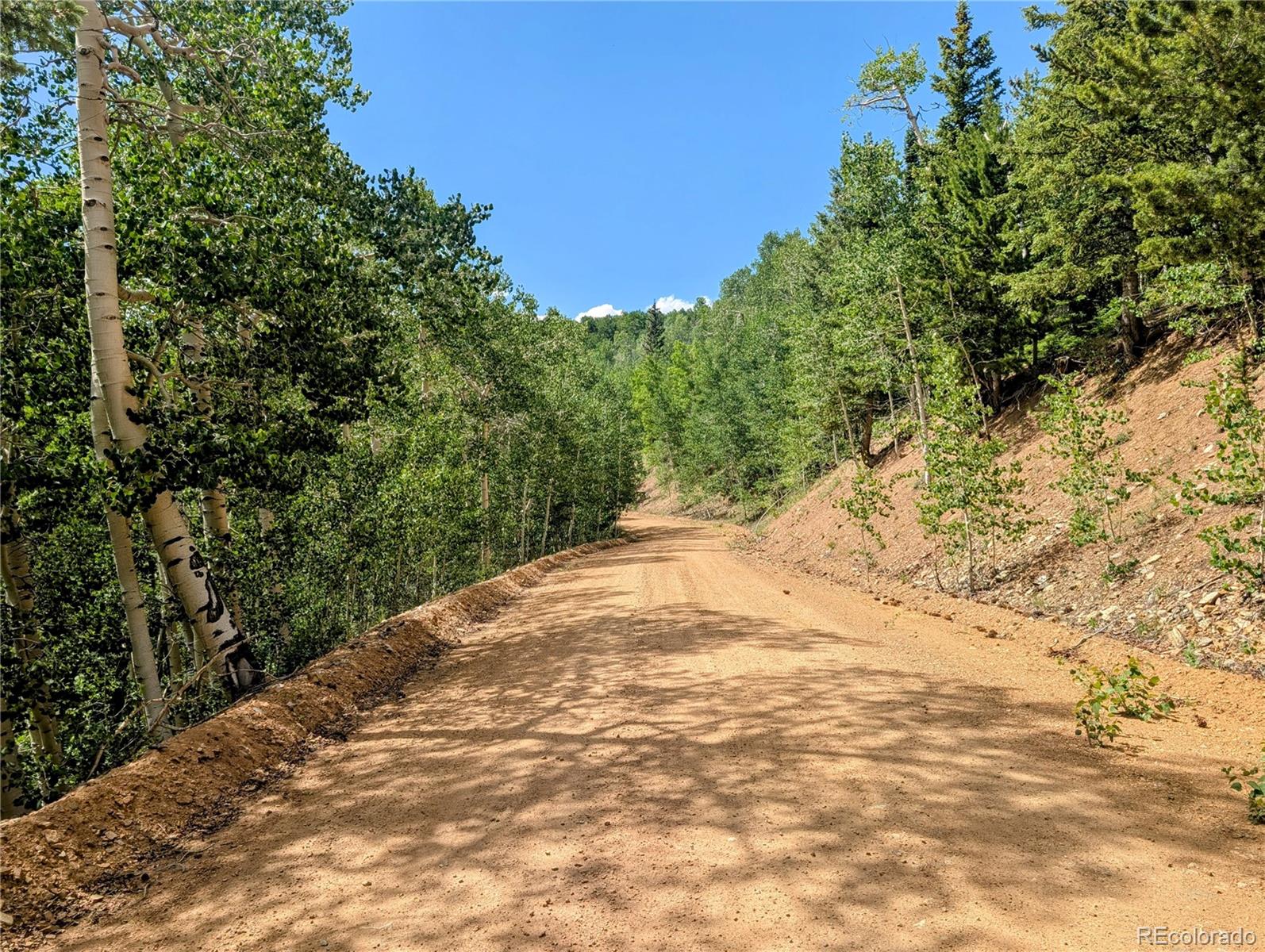 8.5 Acres Phillips Road Fort Garland CO 81133