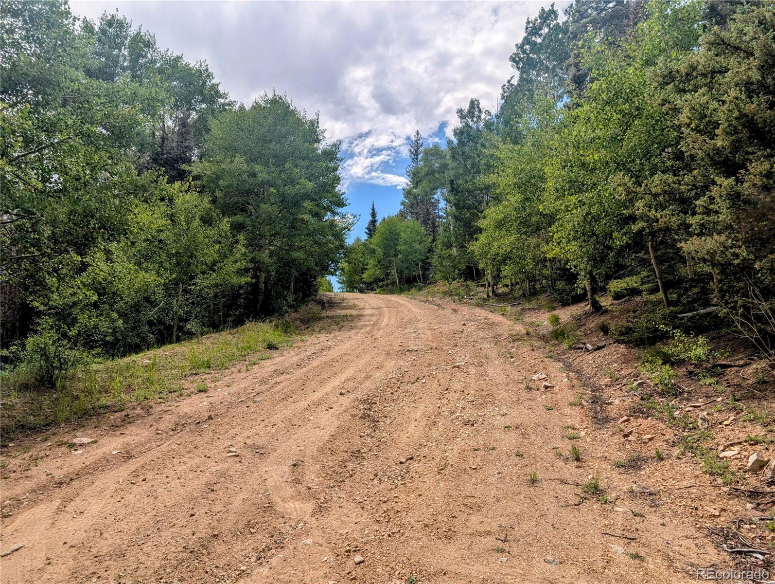 8.5 Acres Phillips Road Fort Garland CO 81133