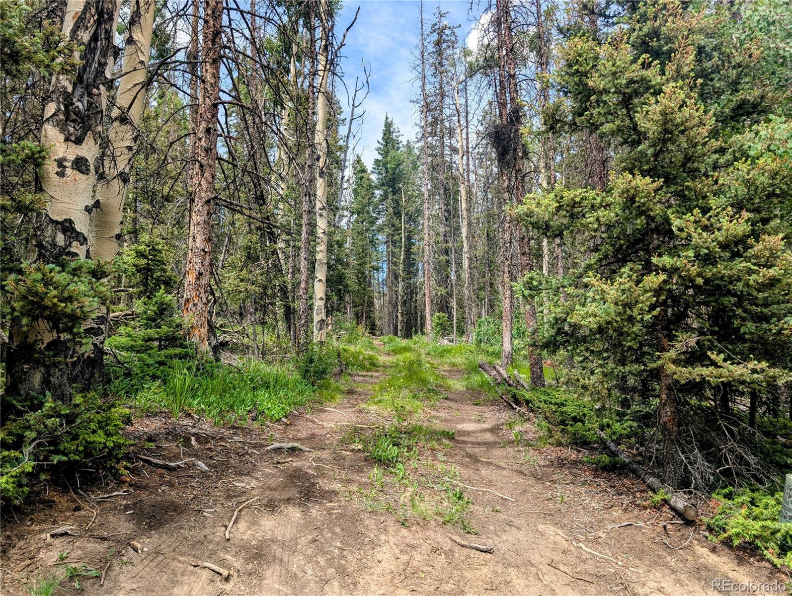 8.5 Acres Phillips Road Fort Garland CO 81133