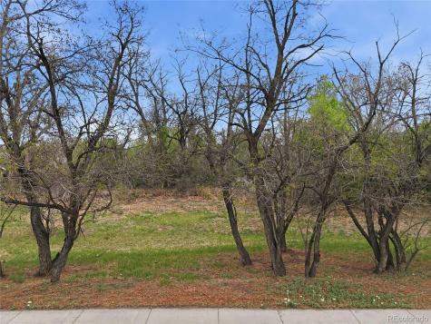 52 Street Arvada CO 80002