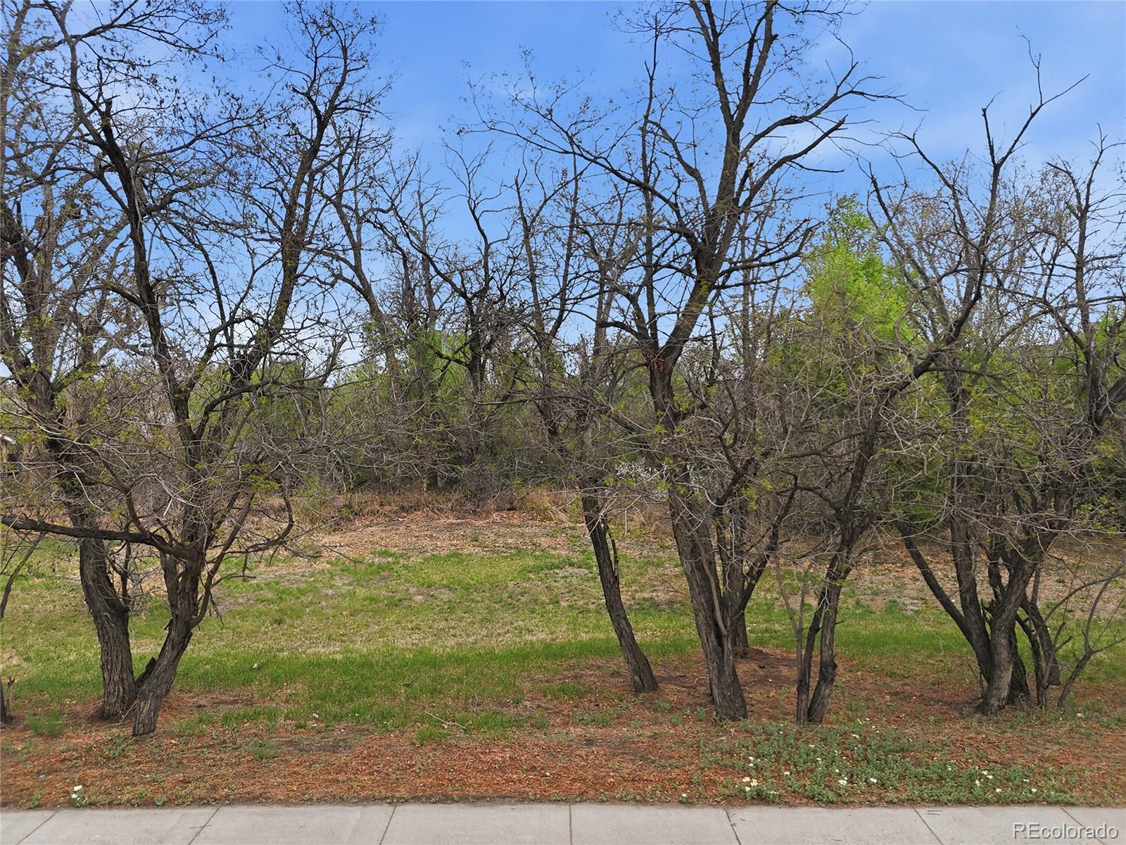 52 Street Arvada CO 80002