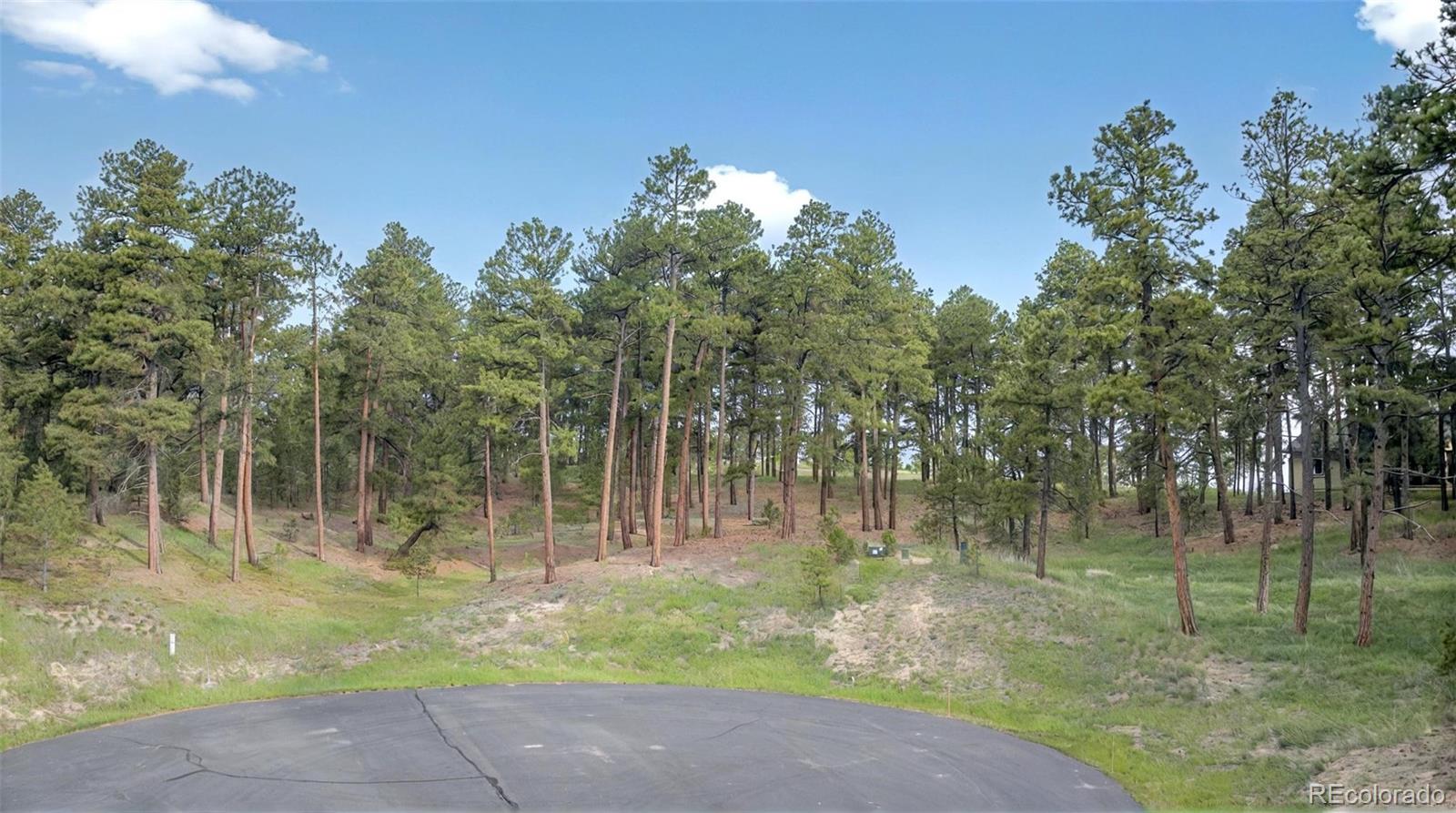 3930 Serenity Place Colorado Springs CO 80908