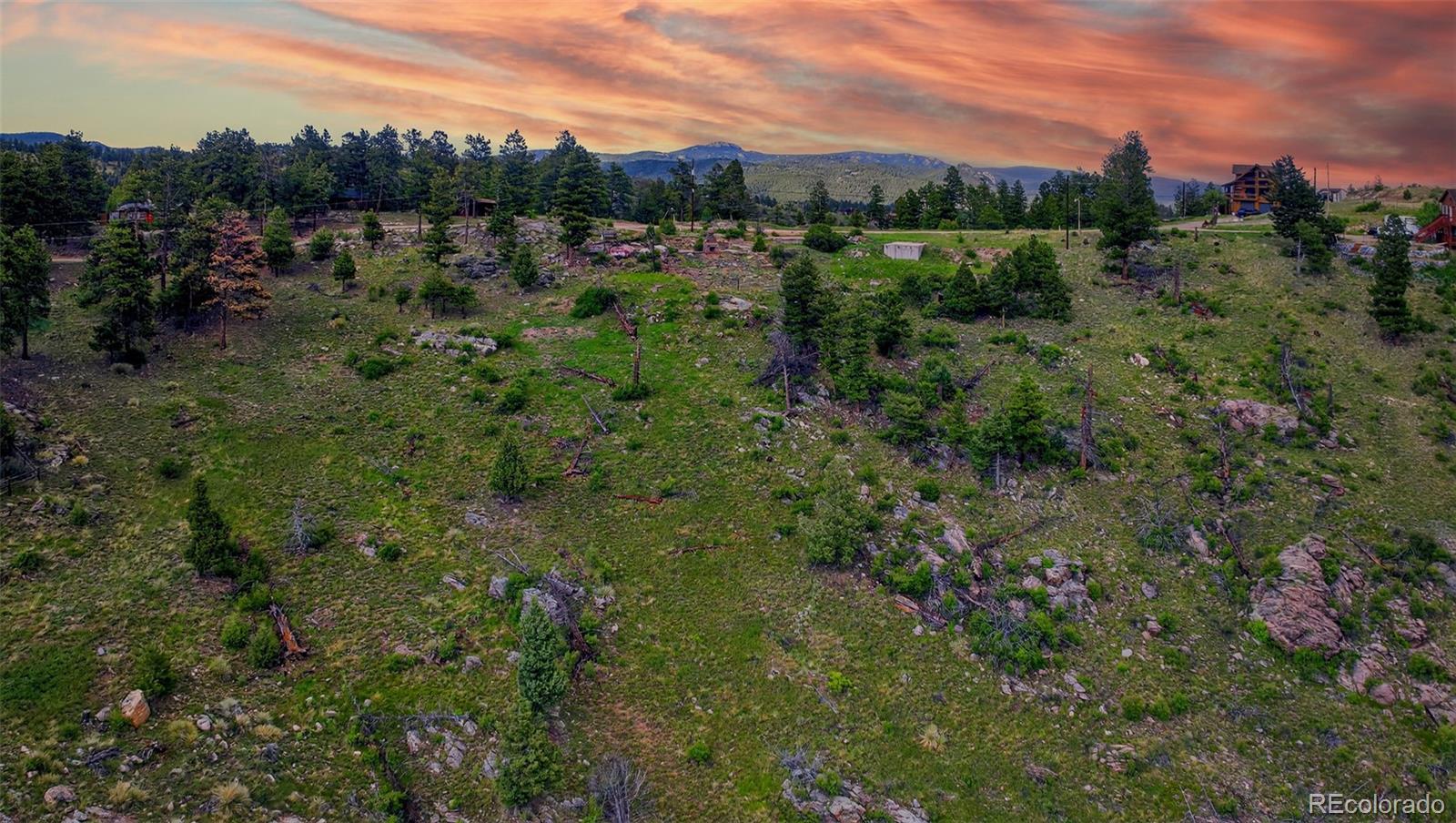 33888 Mineral Lane Pine CO 80470