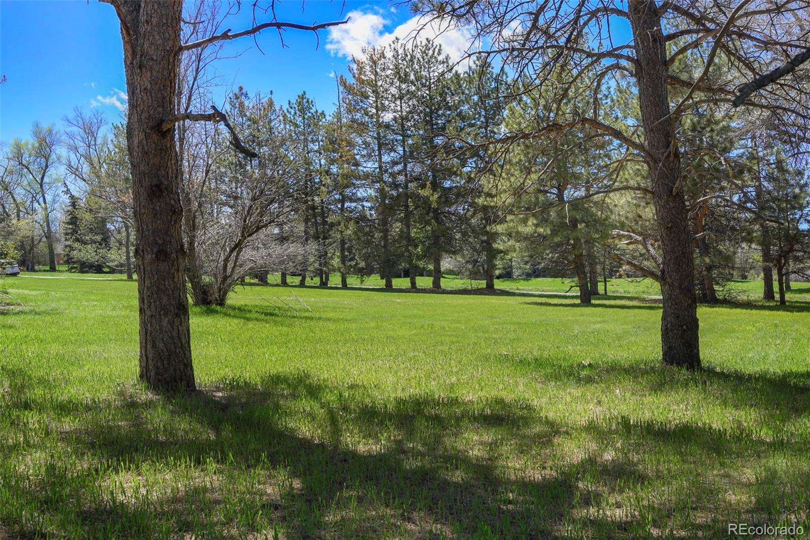 4480 S Franklin Street Cherry Hills Village CO 80113