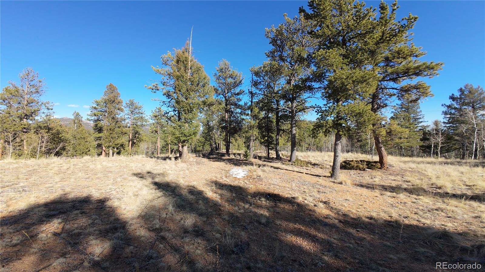 927 Forest Drive Bailey CO 80421
