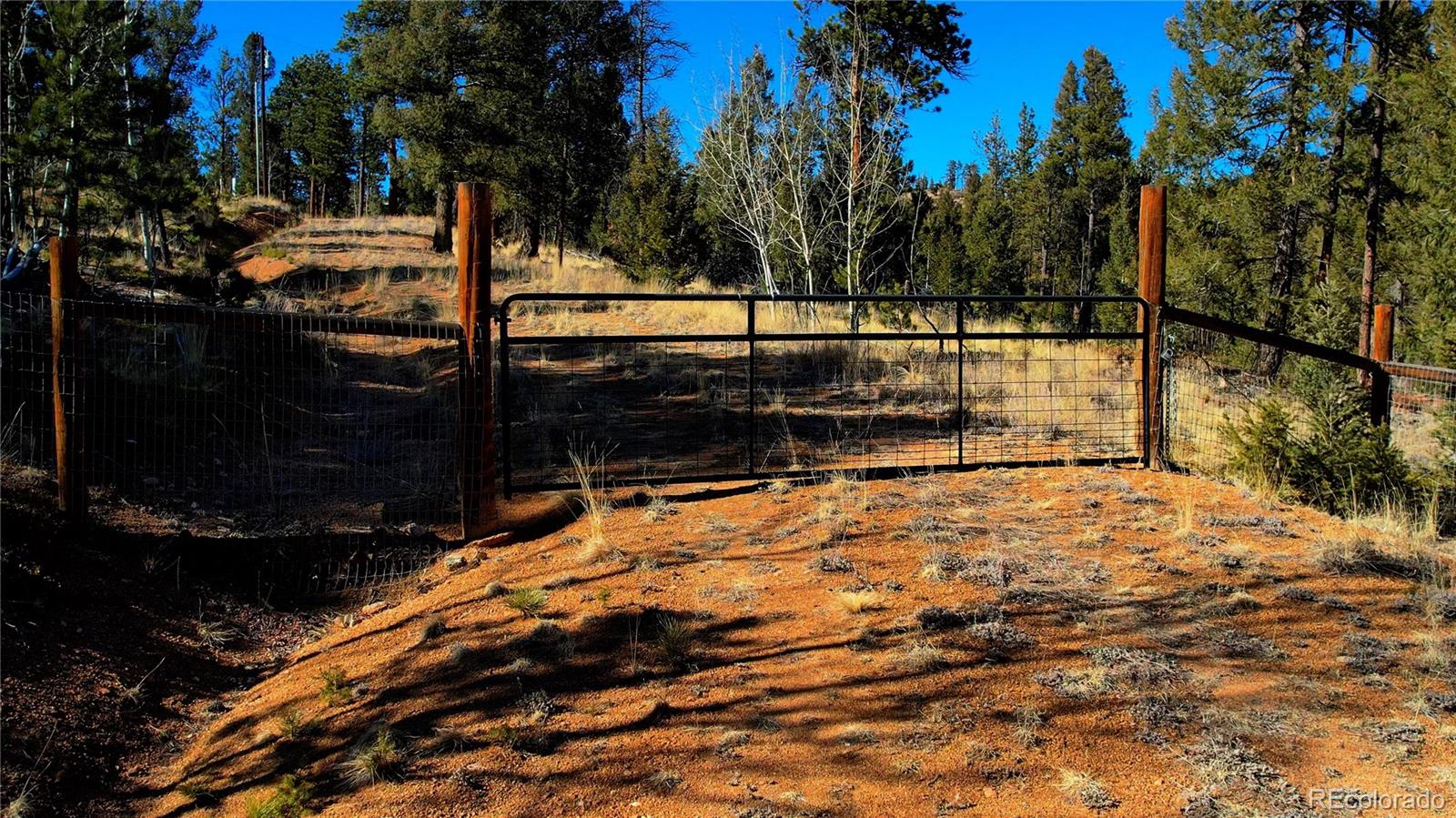 927 Forest Drive Bailey CO 80421