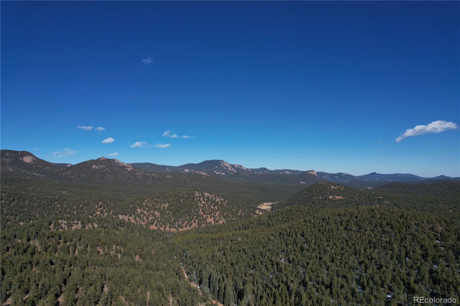 927 Forest Drive Bailey CO 80421