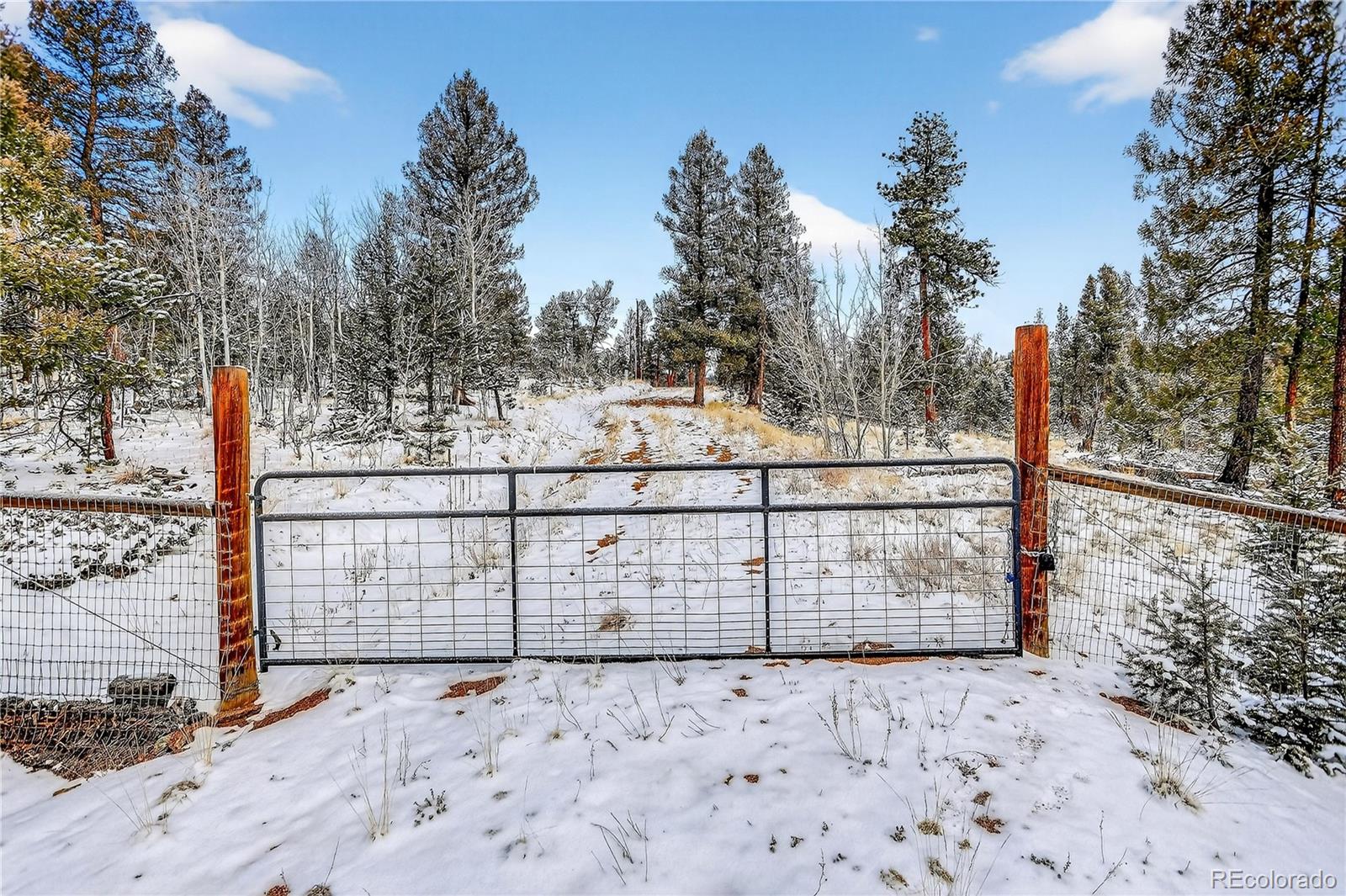 927 Forest Drive Bailey CO 80421