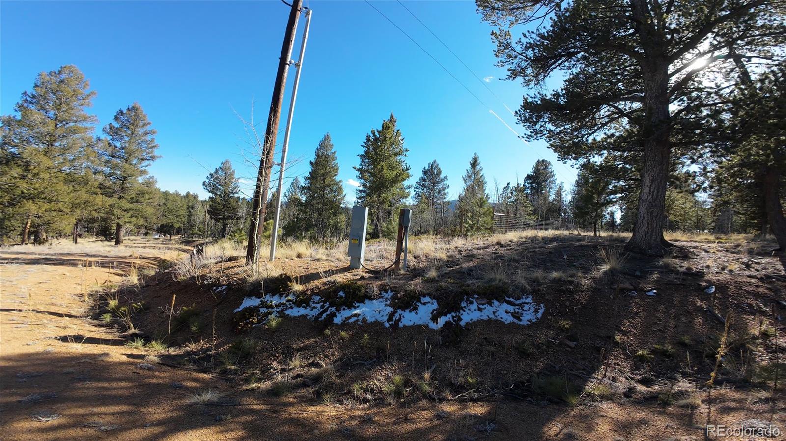 927 Forest Drive Bailey CO 80421