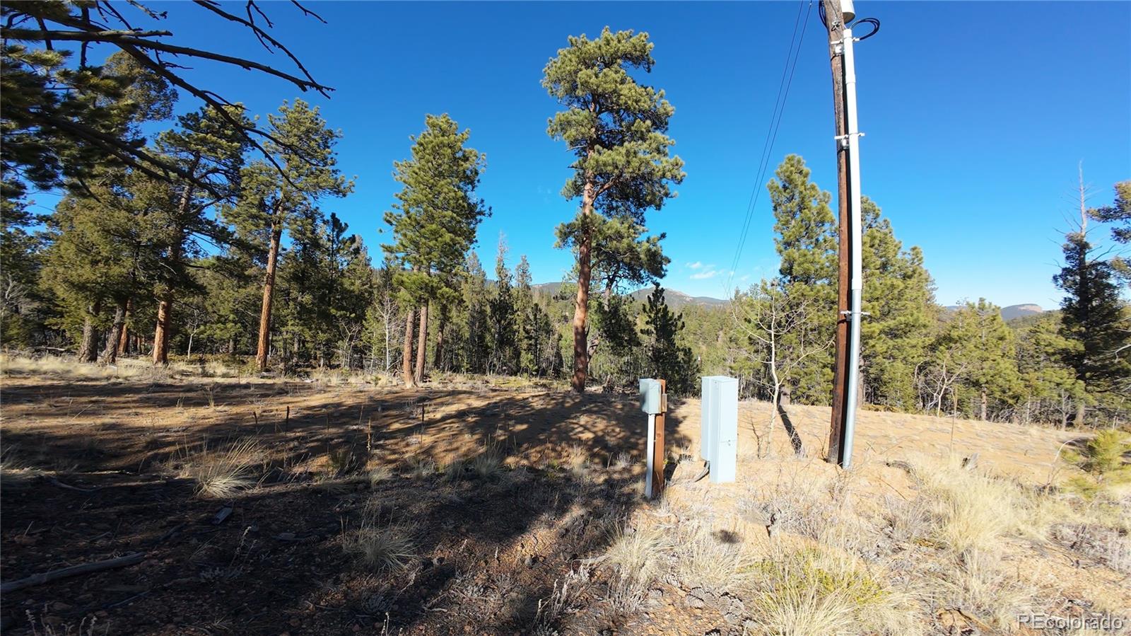 927 Forest Drive Bailey CO 80421