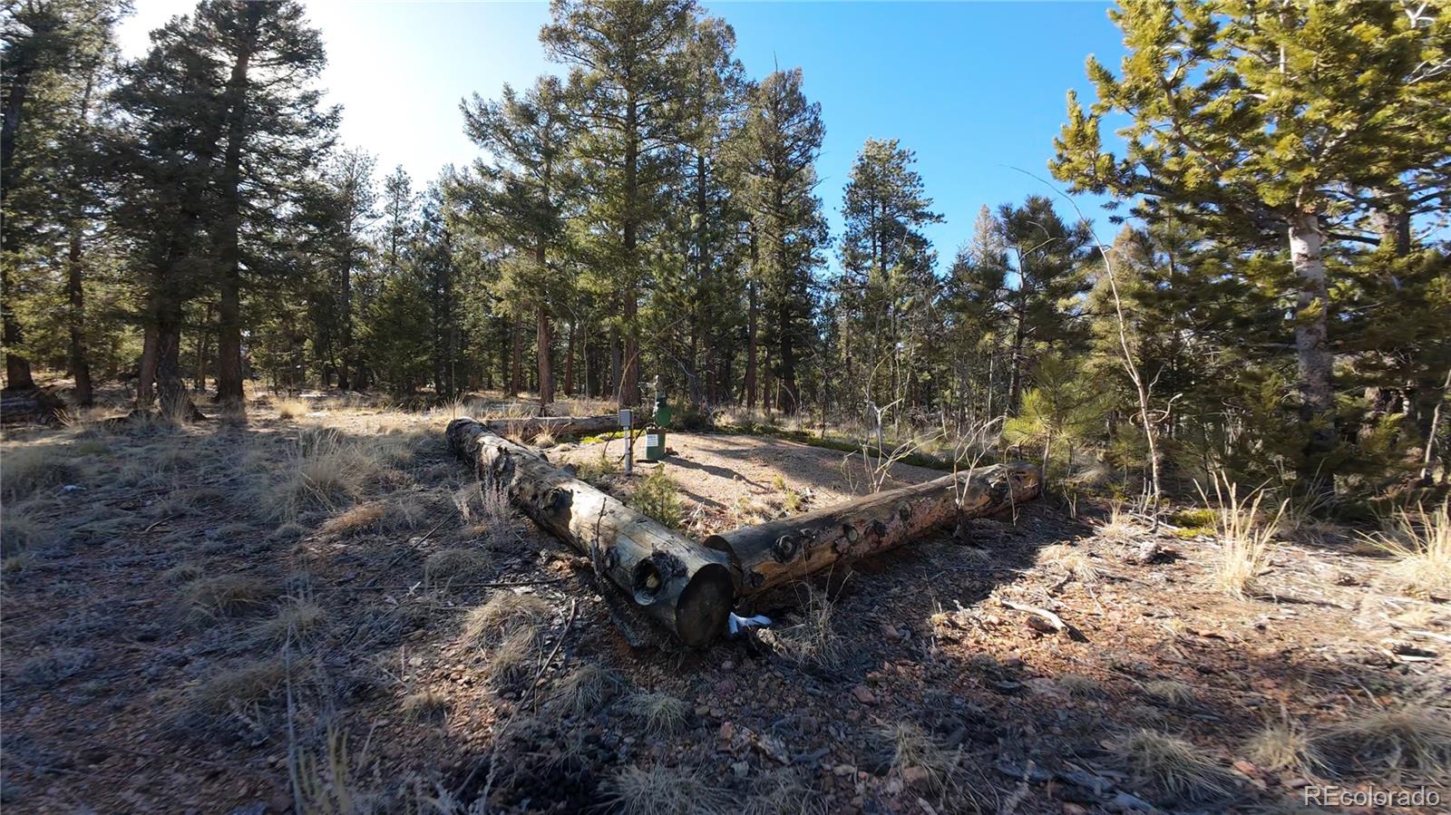927 Forest Drive Bailey CO 80421