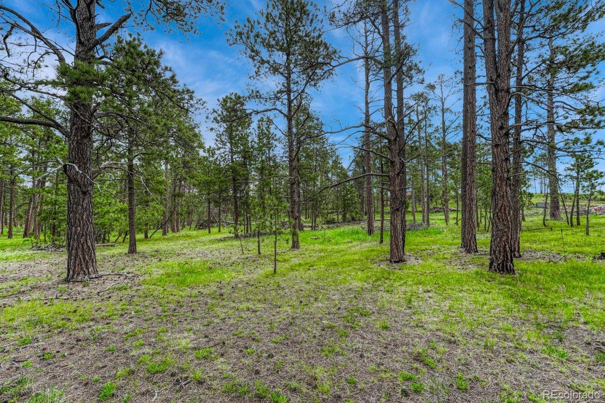 000 Wyandott Drive Colorado Springs CO 80908