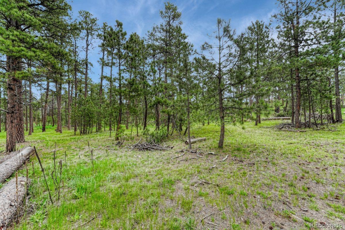 000 Wyandott Drive Colorado Springs CO 80908