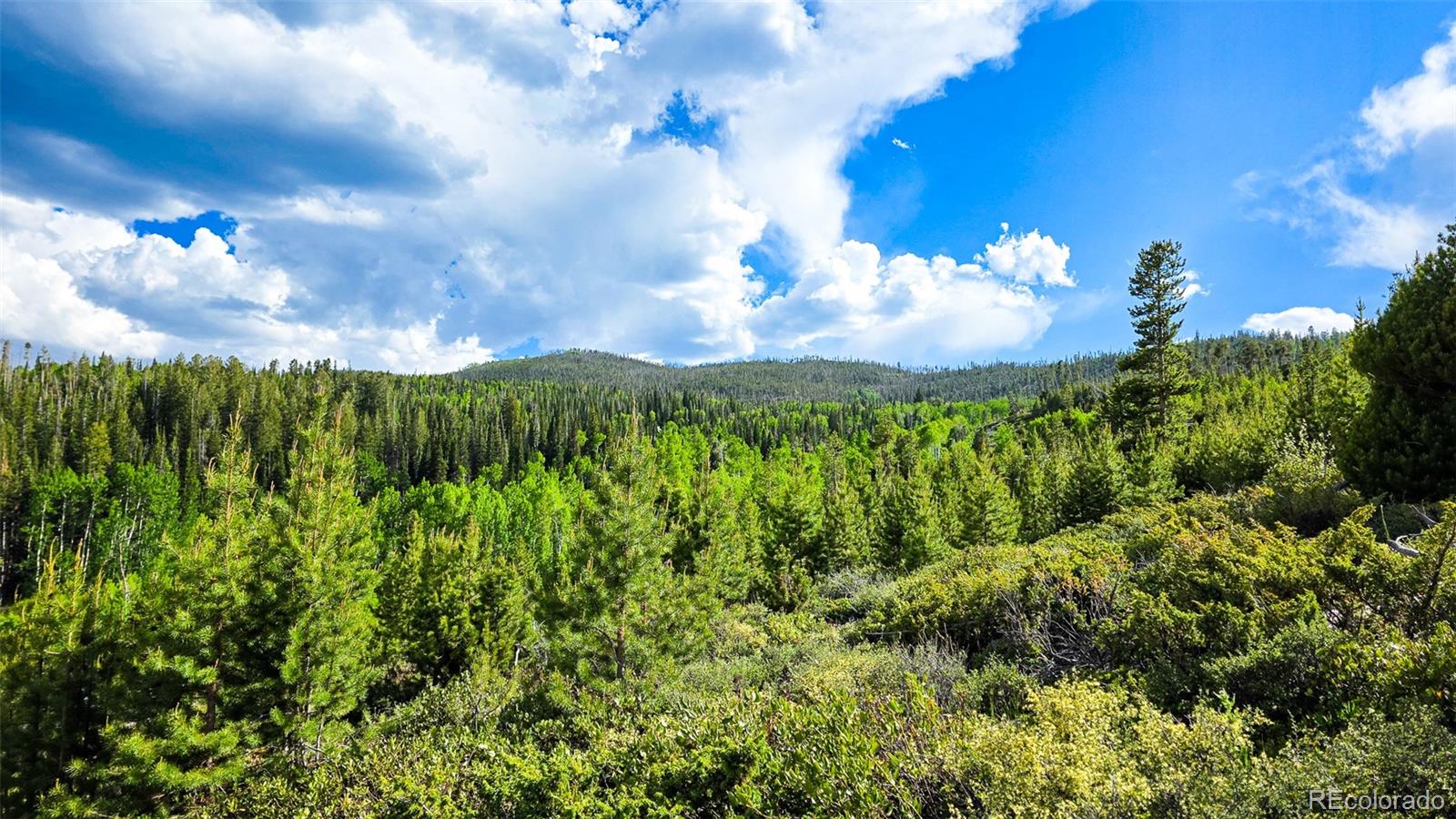 520 County Road 52 Granby CO 80446