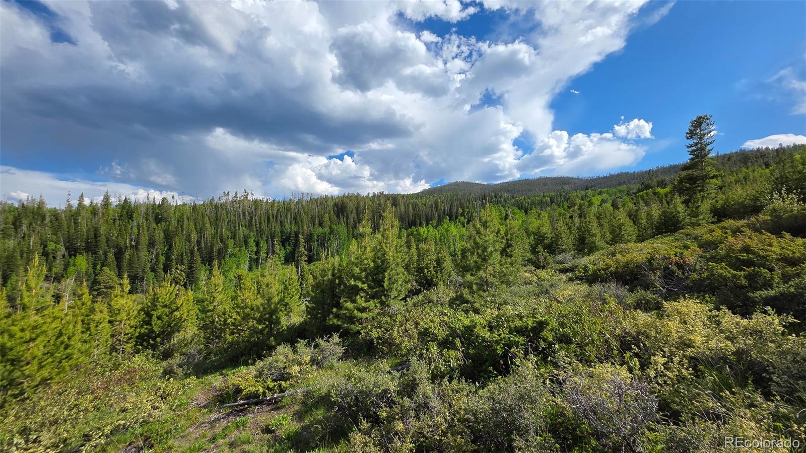 520 County Road 52 Granby CO 80446