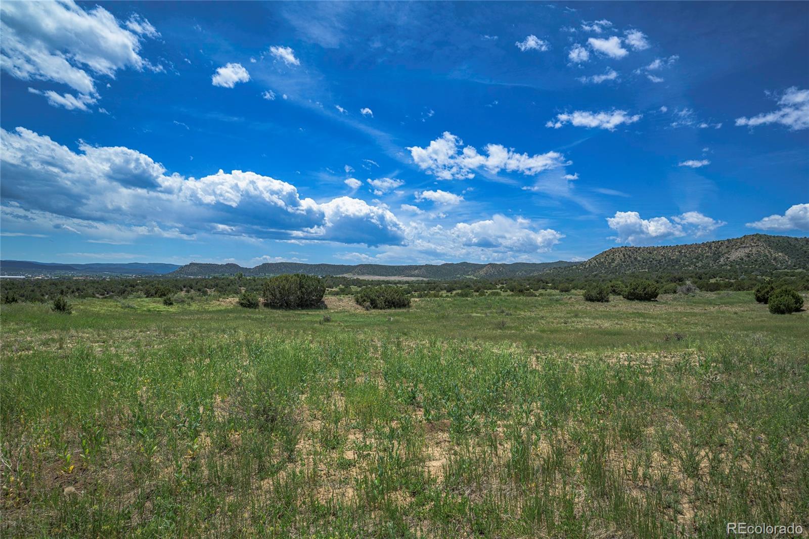 County Road 71.1 Trinidad CO 81082