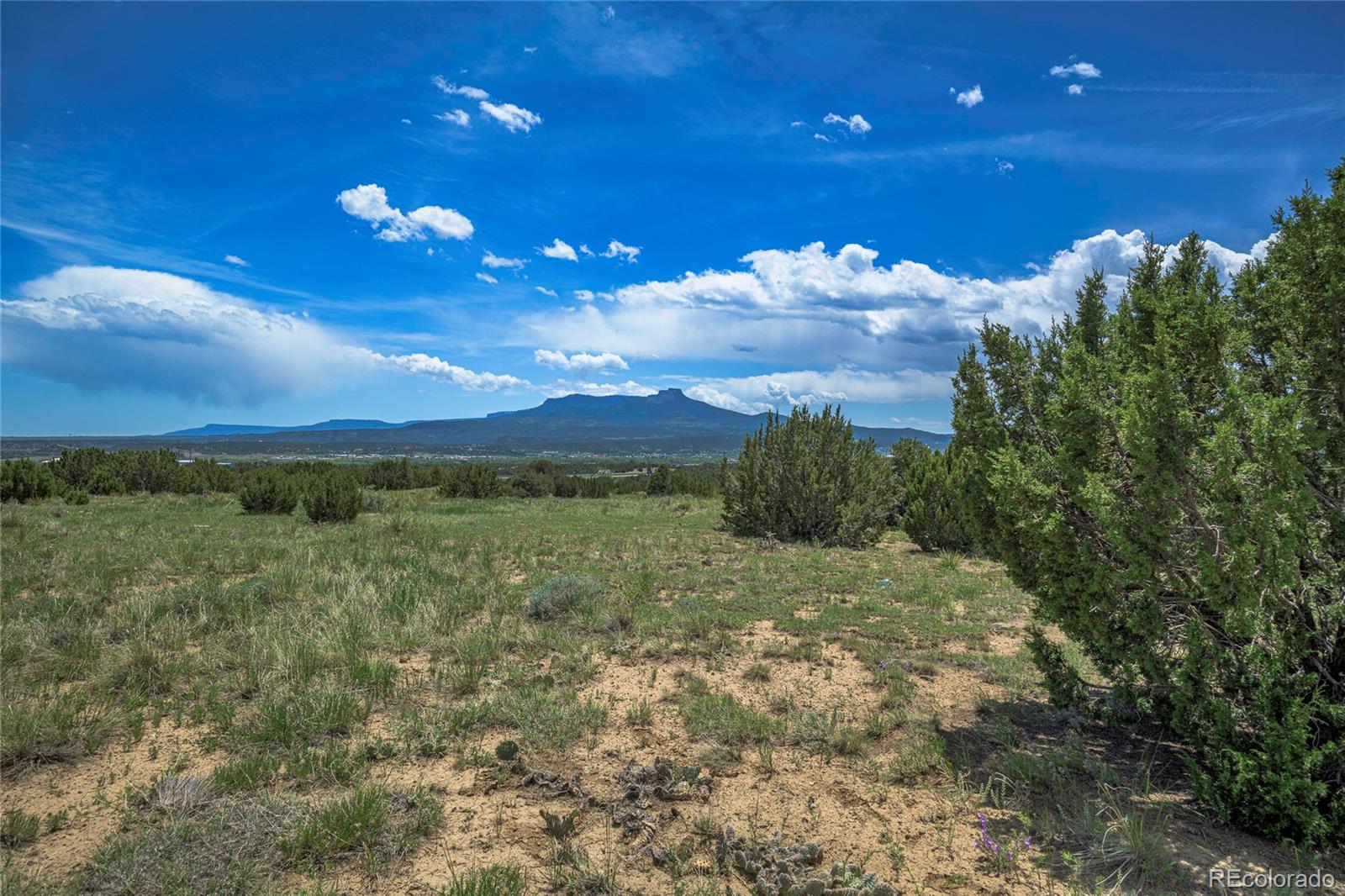 County Road 71.1 Trinidad CO 81082