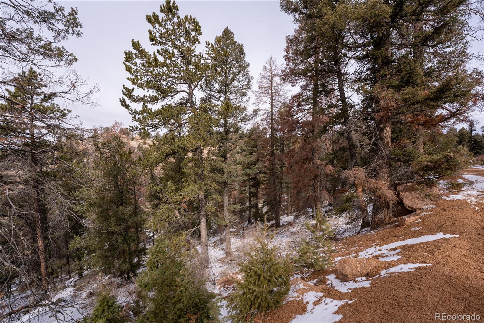 3388-3410 N Mountain Estates Road Florissant CO 80816