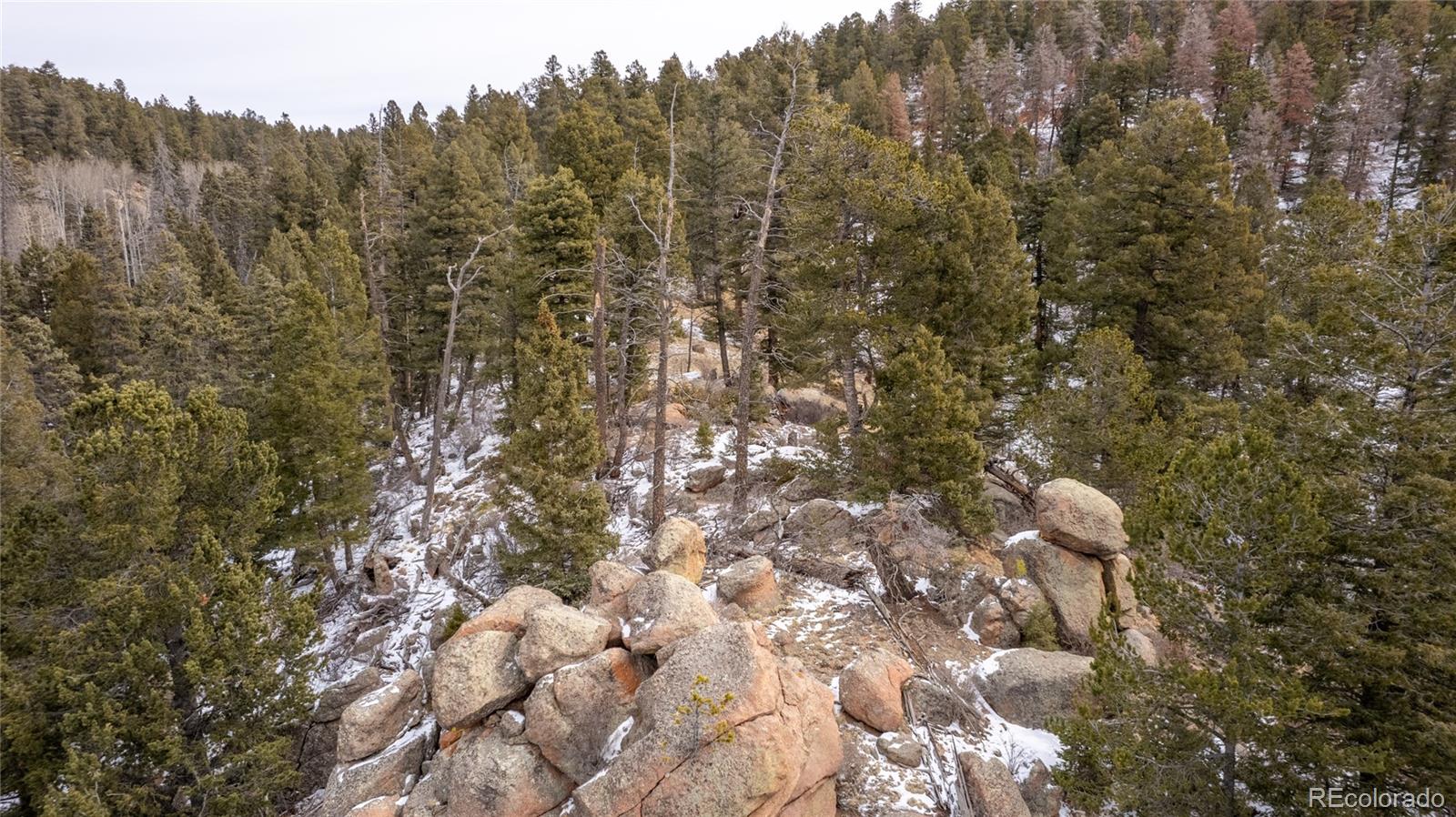 3388-3410 N Mountain Estates Road Florissant CO 80816