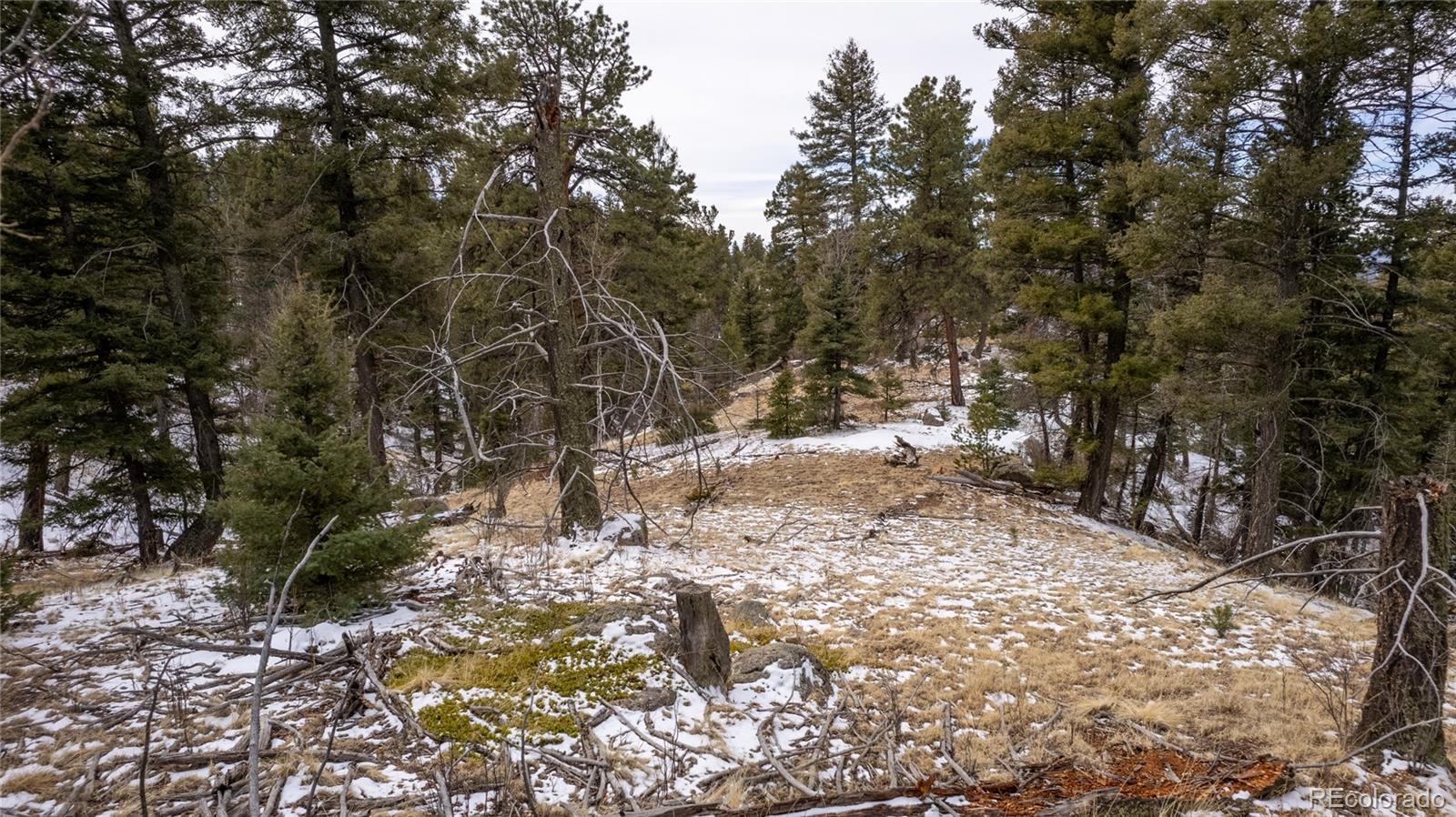3388-3410 N Mountain Estates Road Florissant CO 80816