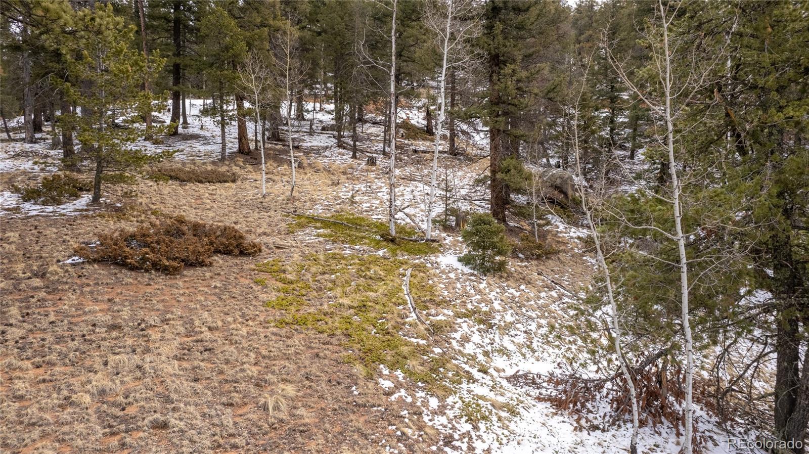 3388-3410 N Mountain Estates Road Florissant CO 80816