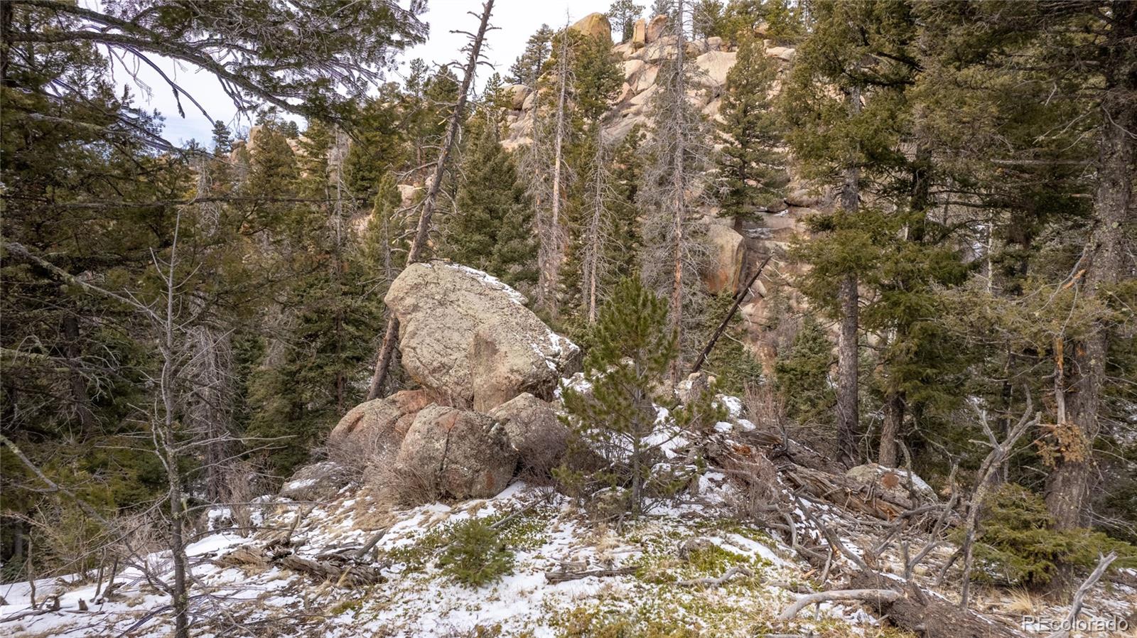 3388-3410 N Mountain Estates Road Florissant CO 80816