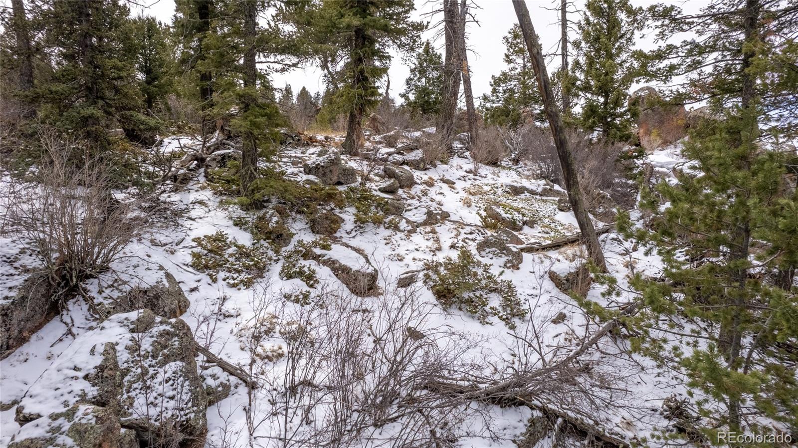 3388-3410 N Mountain Estates Road Florissant CO 80816