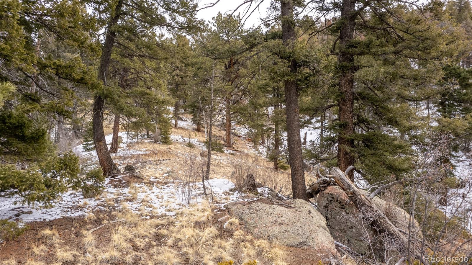 3388-3410 N Mountain Estates Road Florissant CO 80816