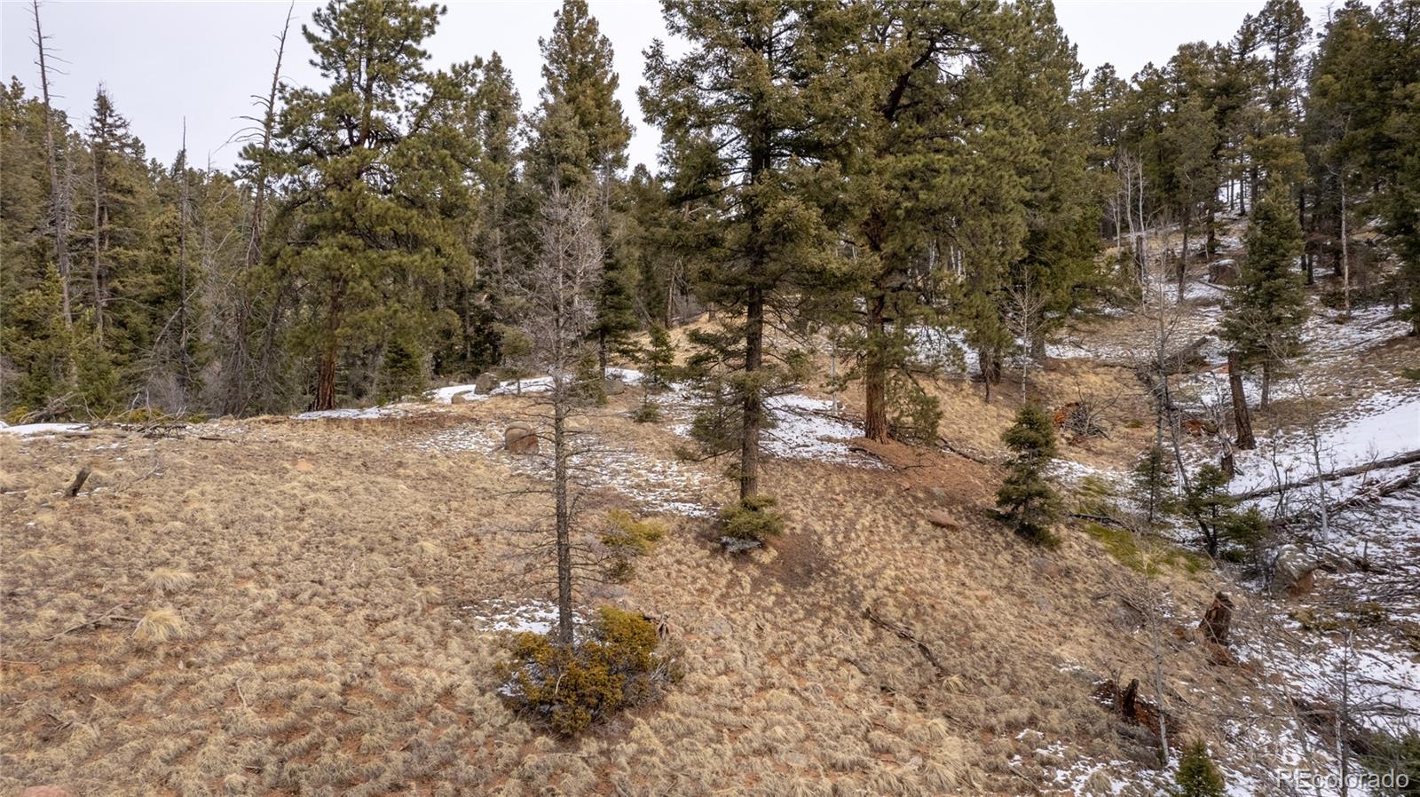 3388-3410 N Mountain Estates Road Florissant CO 80816