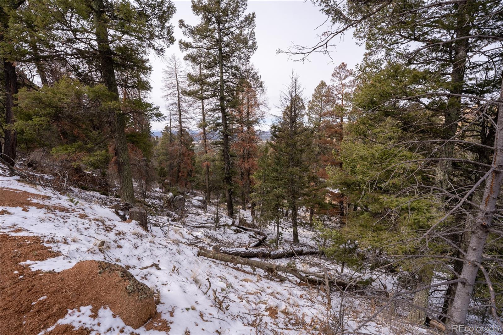 3388-3410 N Mountain Estates Road Florissant CO 80816