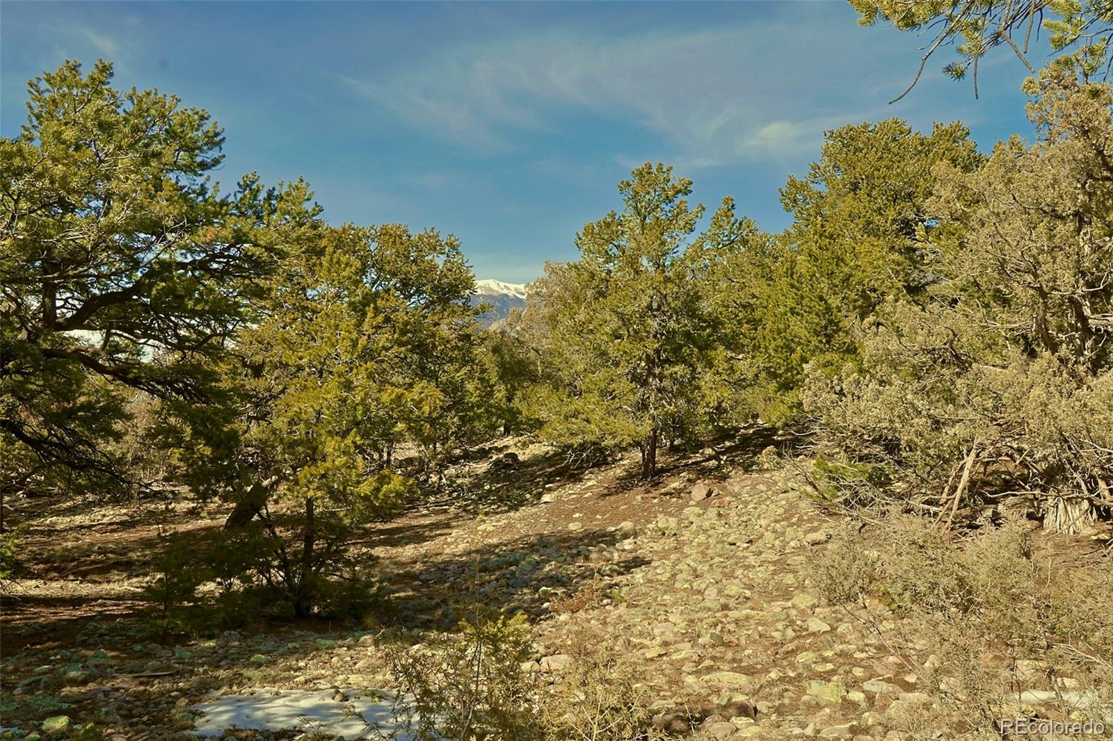 2130 Big Ranch Overlook Crestone CO 81131