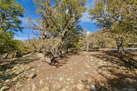 2130 Big Ranch Overlook Crestone CO 81131