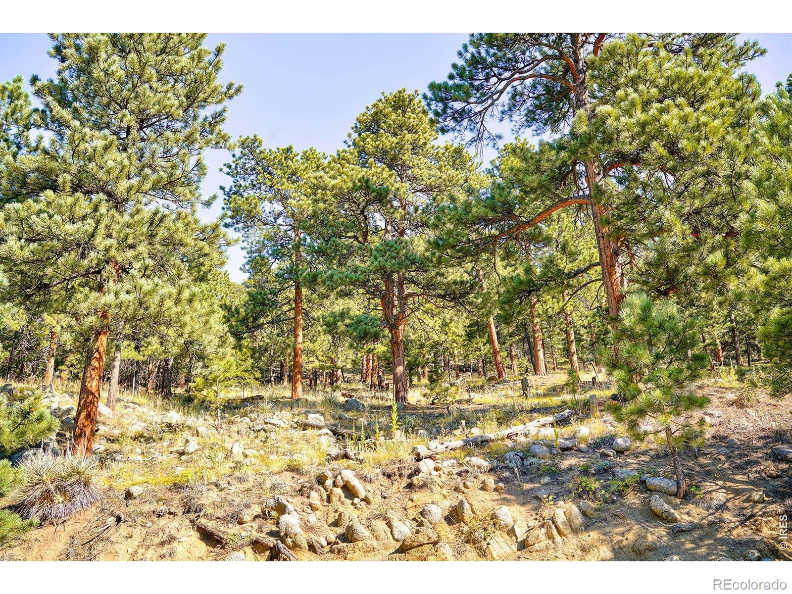 695 Cutter Lane Boulder CO 80302