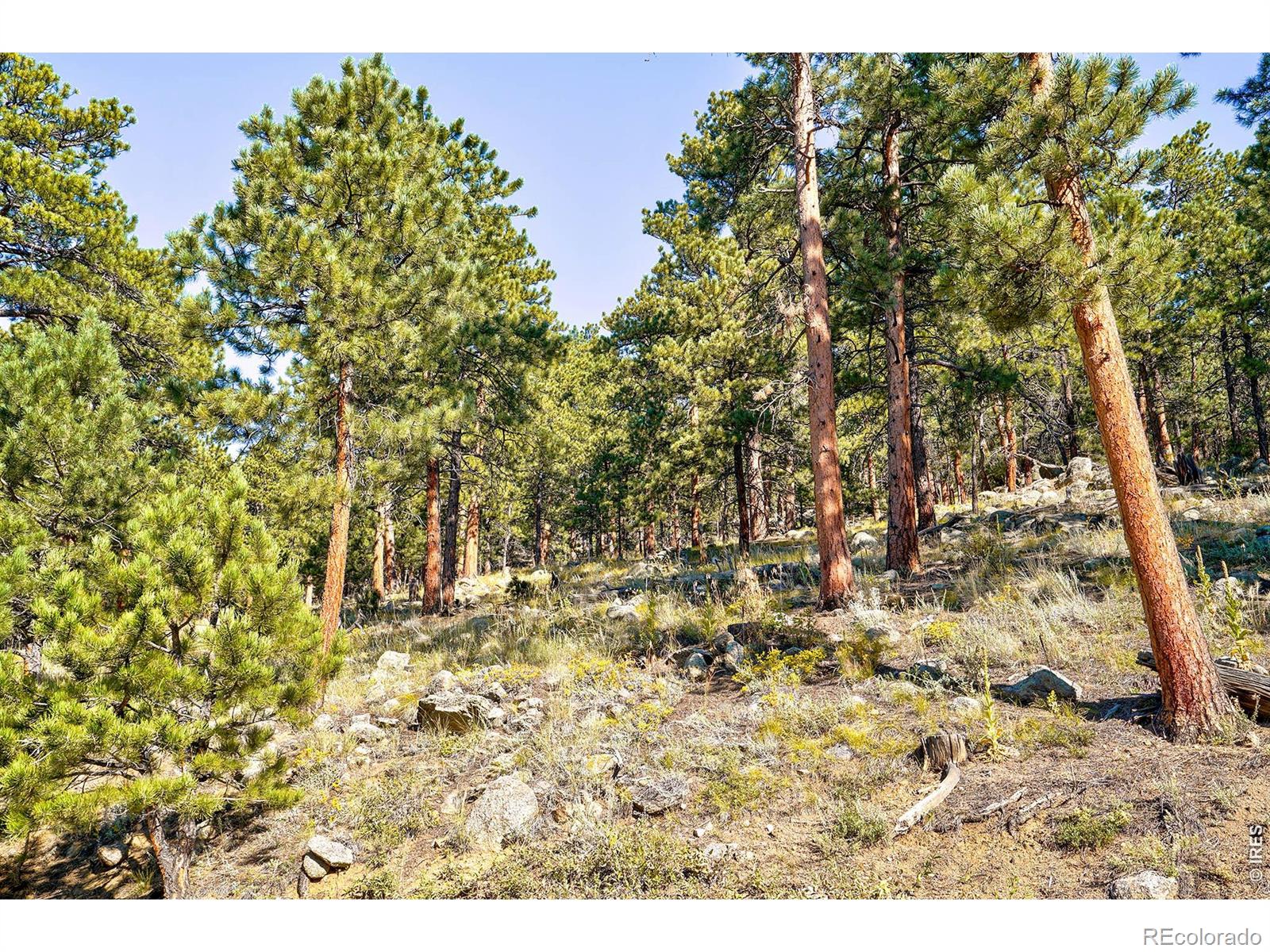 695 Cutter Lane Boulder CO 80302