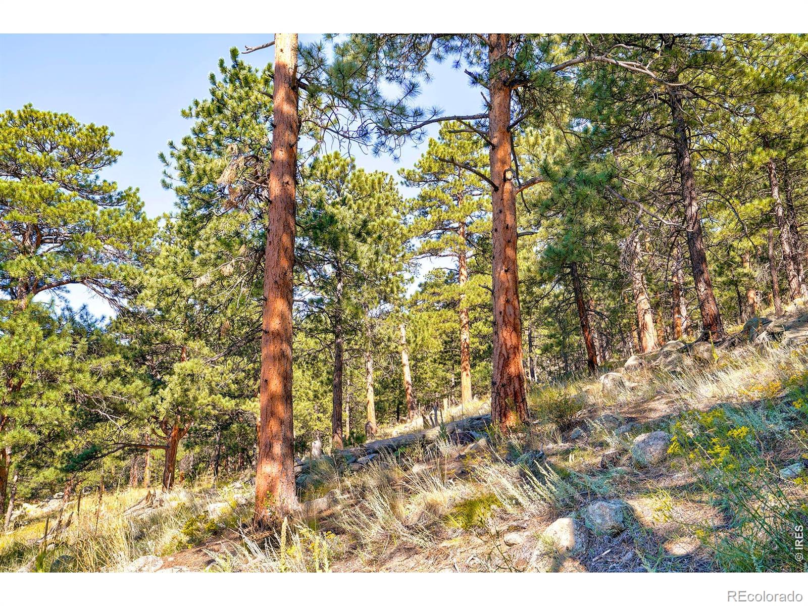 695 Cutter Lane Boulder CO 80302