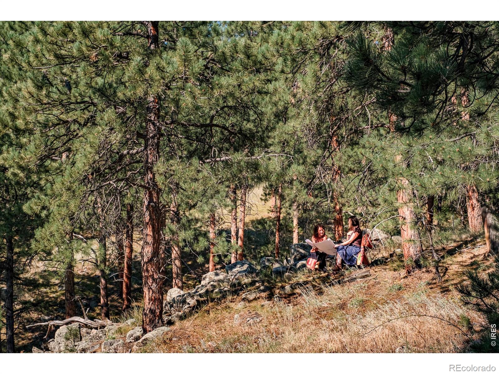 695 Cutter Lane Boulder CO 80302