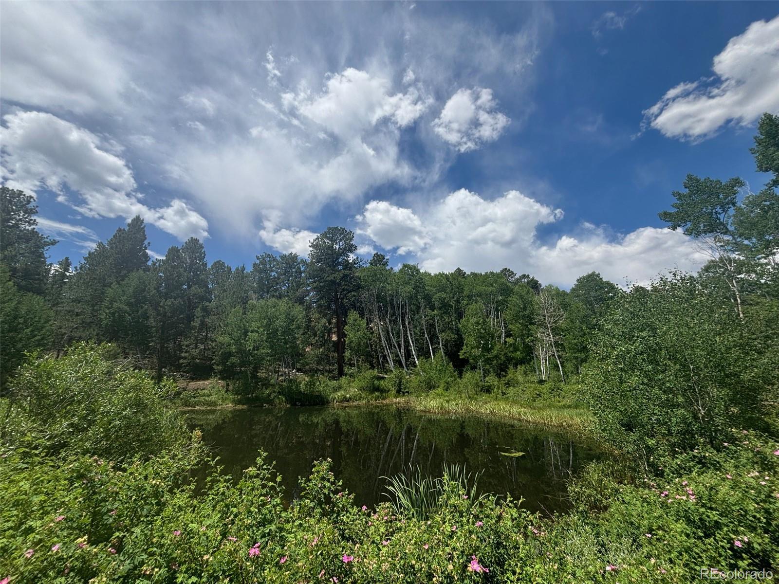 14750 Quartz Circle Salida CO 81201