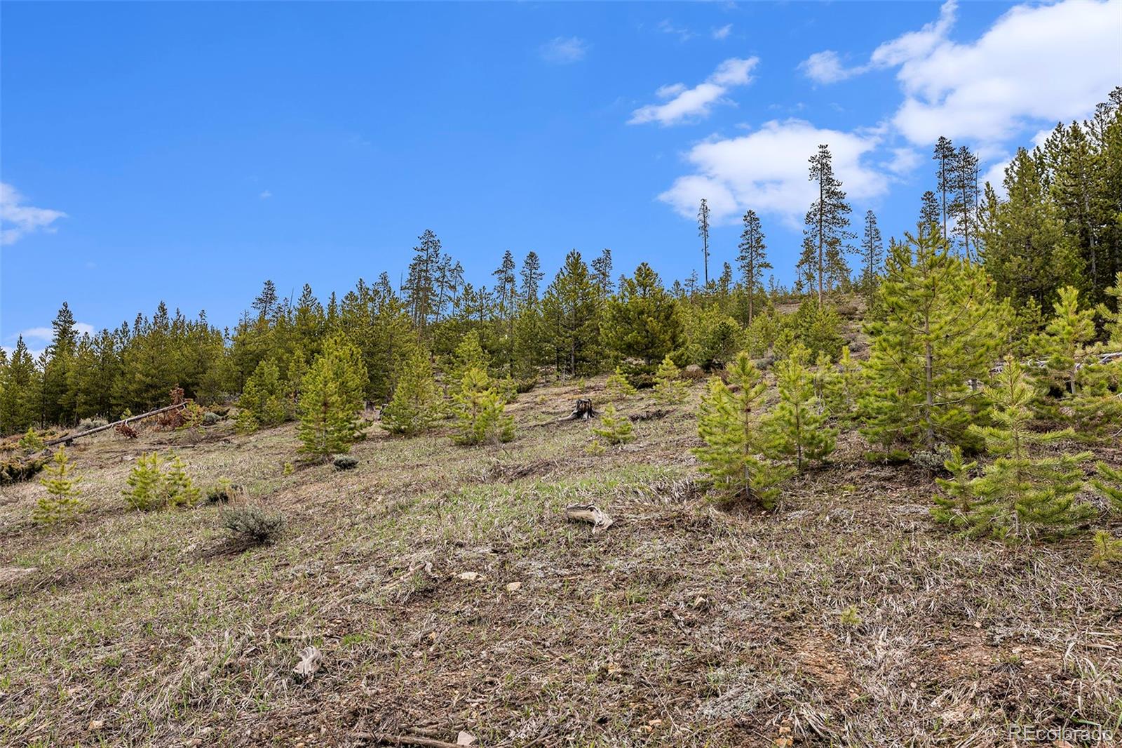 650 Shoshoni Lane Granby CO 80446