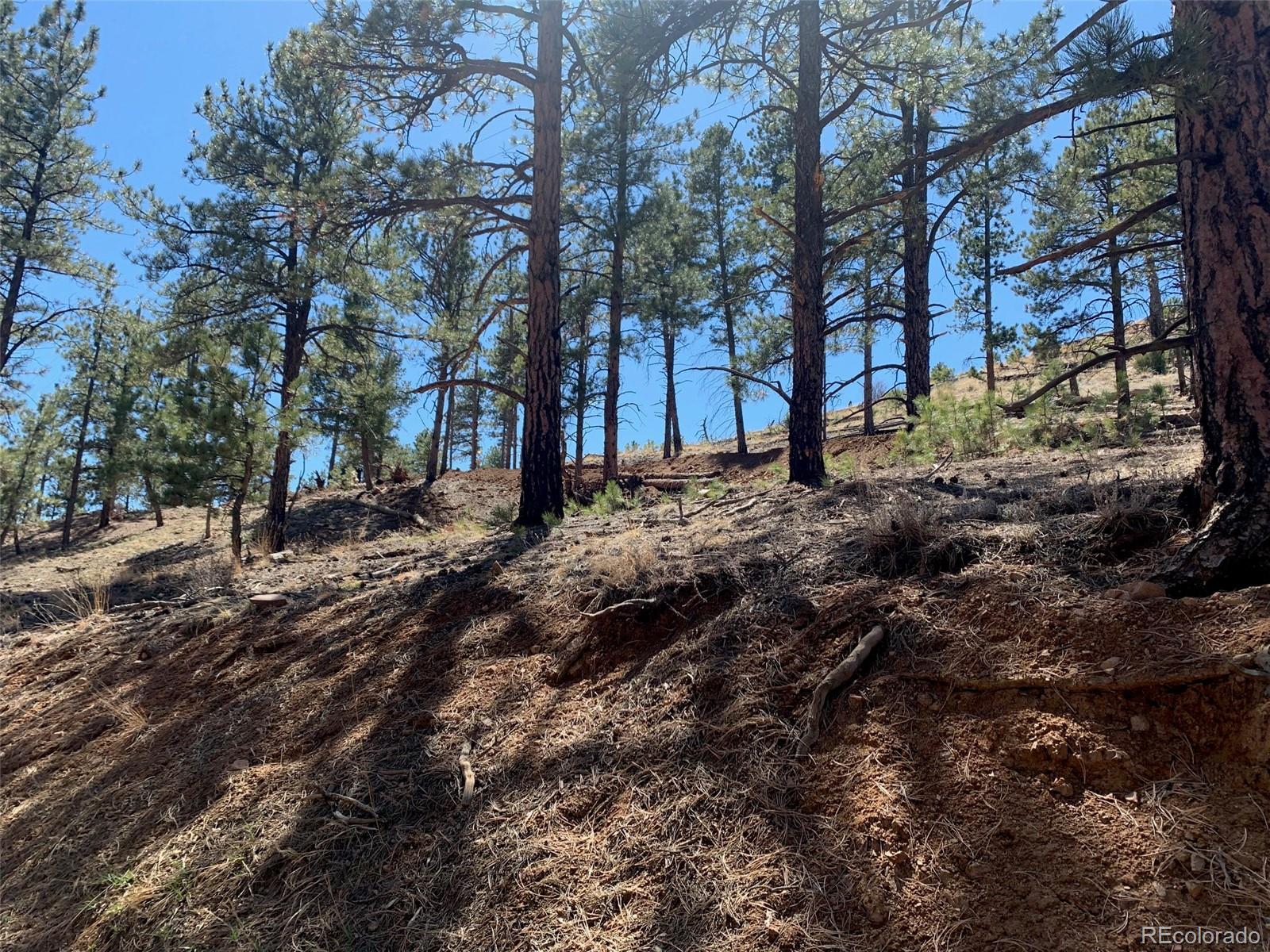 15421 Westcreek Road Woodland Park CO 80863