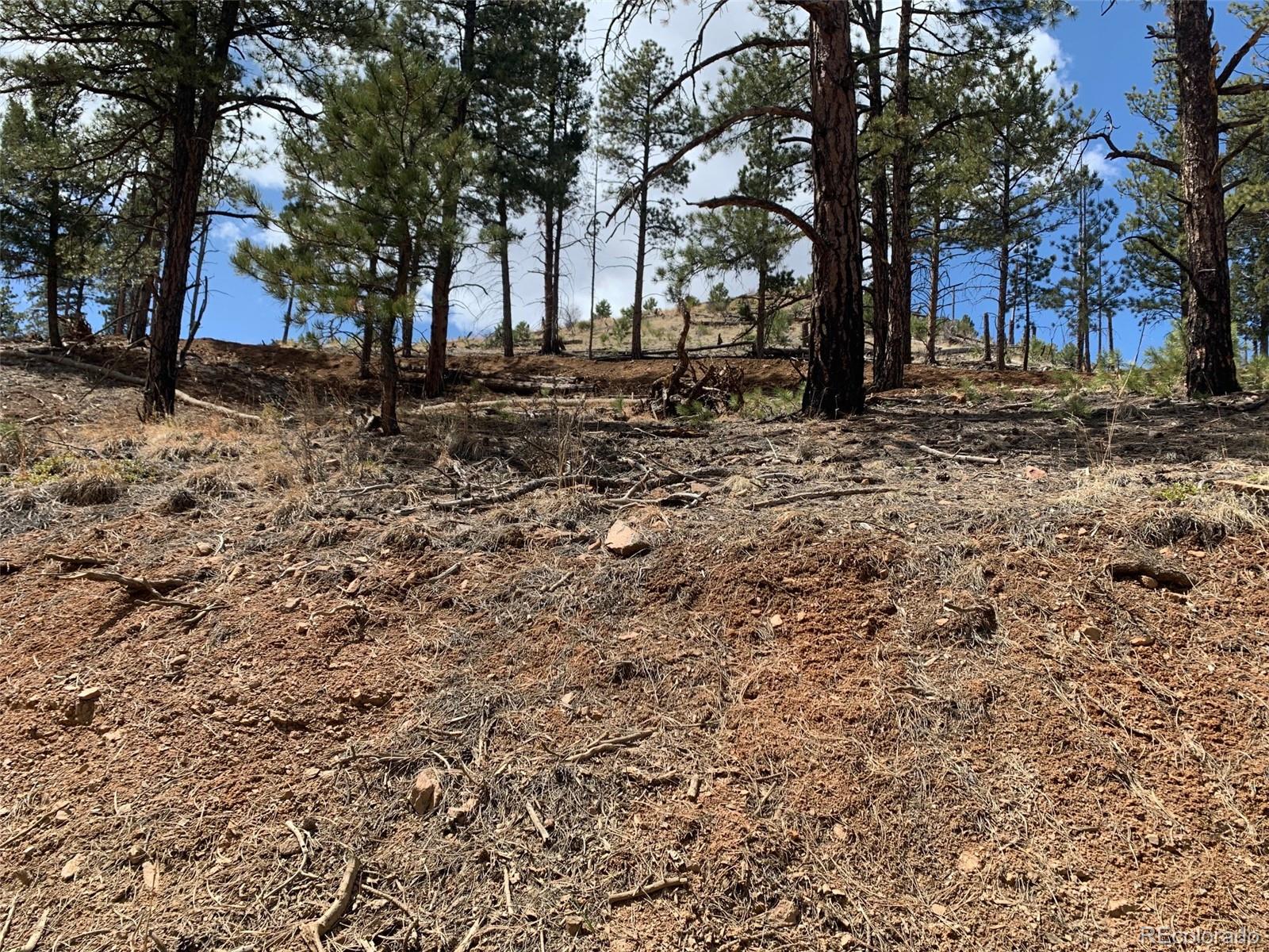 15421 Westcreek Road Woodland Park CO 80863