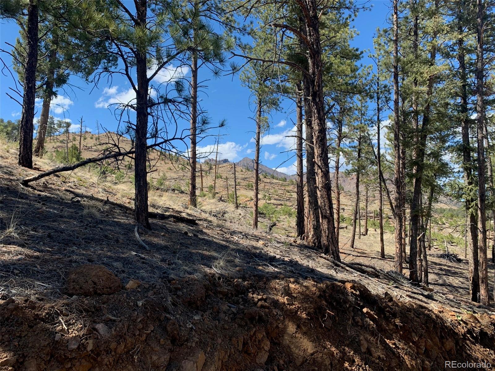 15421 Westcreek Road Woodland Park CO 80863