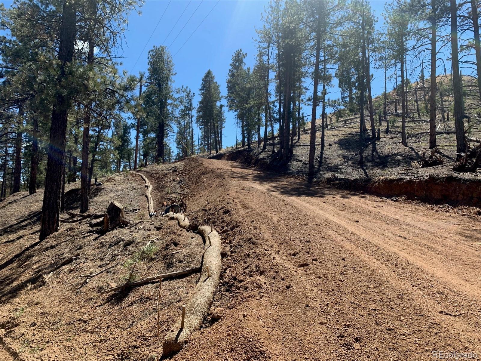 15421 Westcreek Road Woodland Park CO 80863