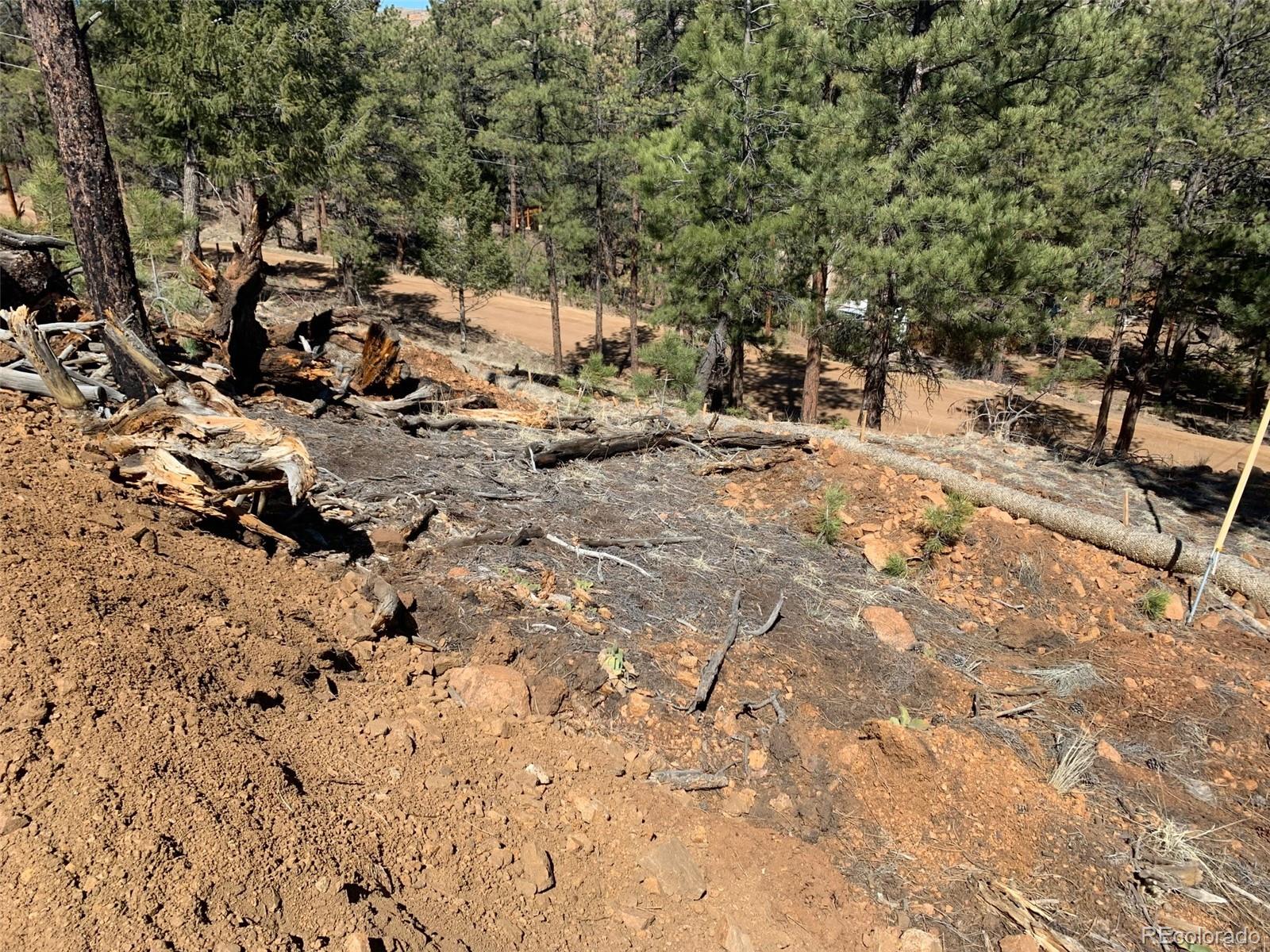 15421 Westcreek Road Woodland Park CO 80863