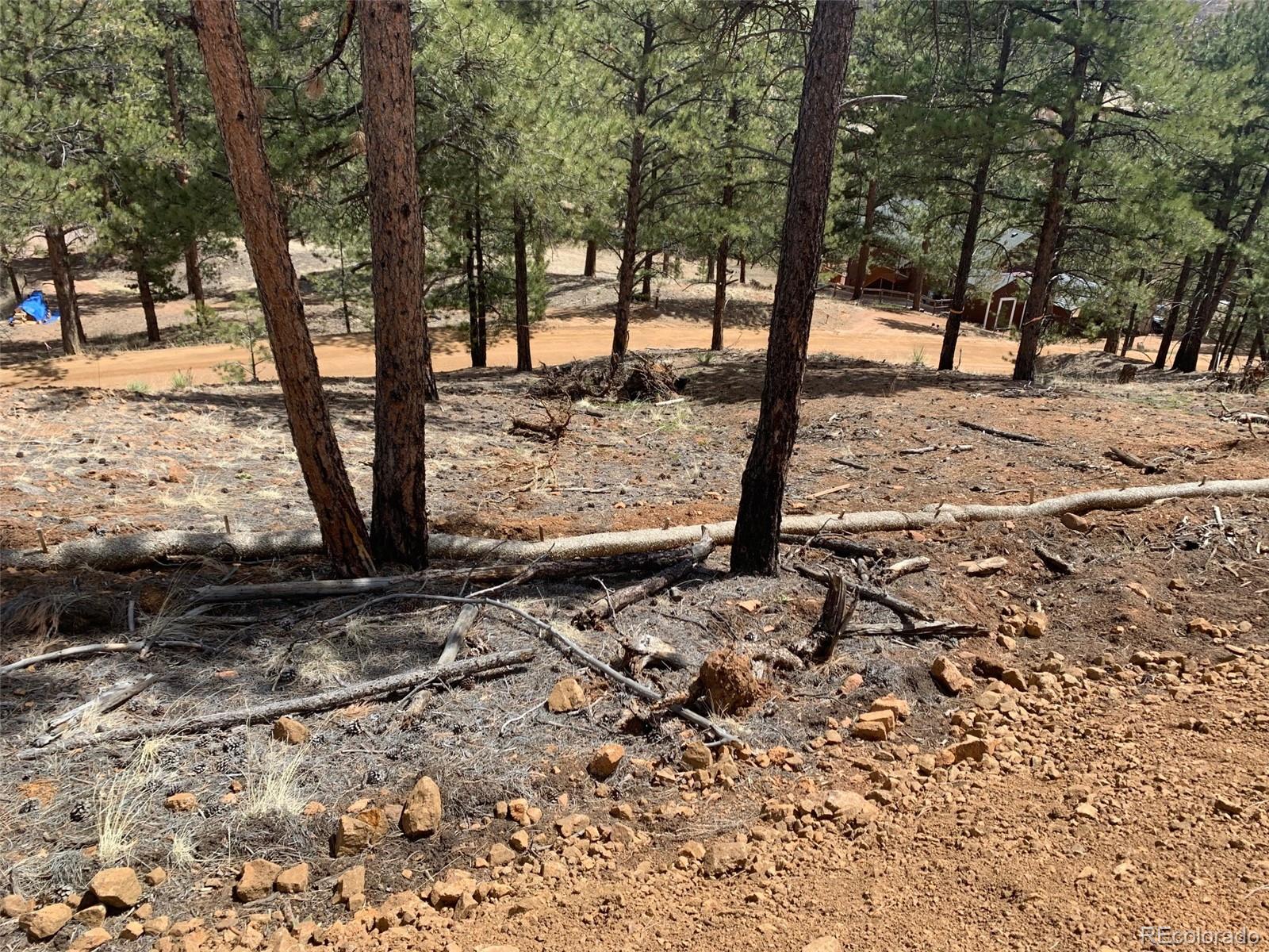 15421 Westcreek Road Woodland Park CO 80863