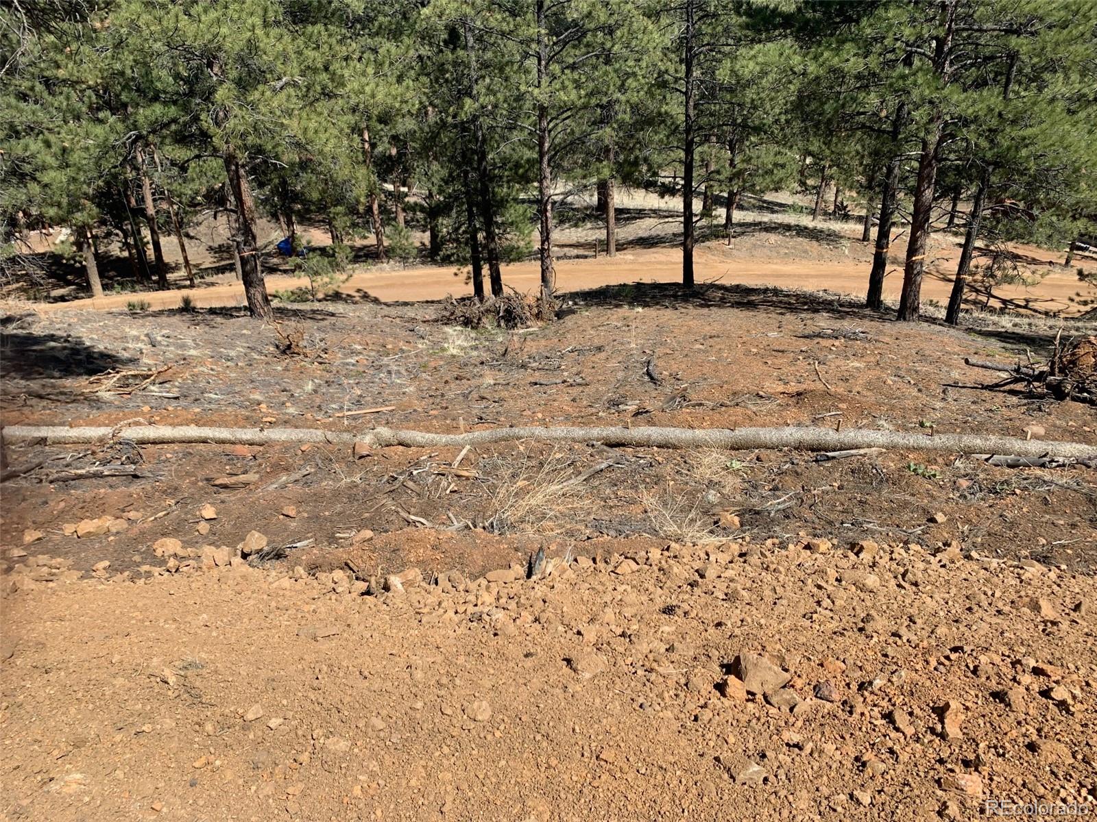 15421 Westcreek Road Woodland Park CO 80863
